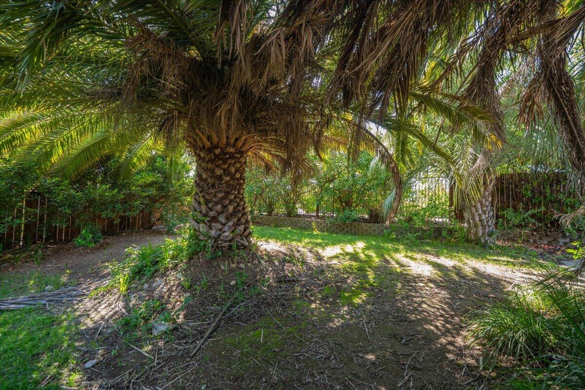main property photo 60