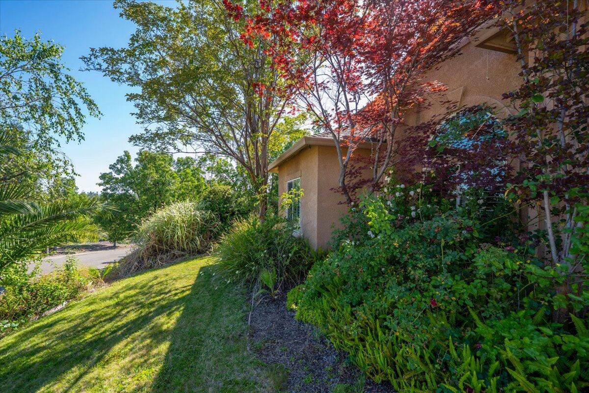 main property photo 67