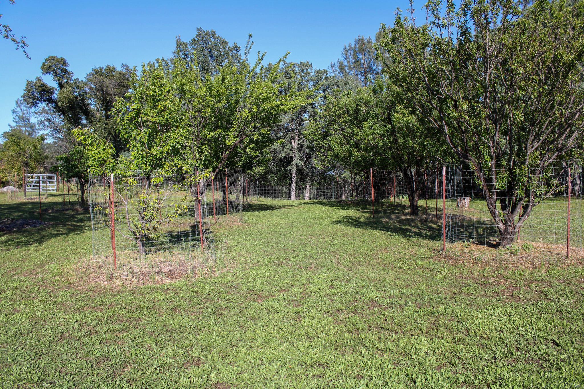 main property photo 50