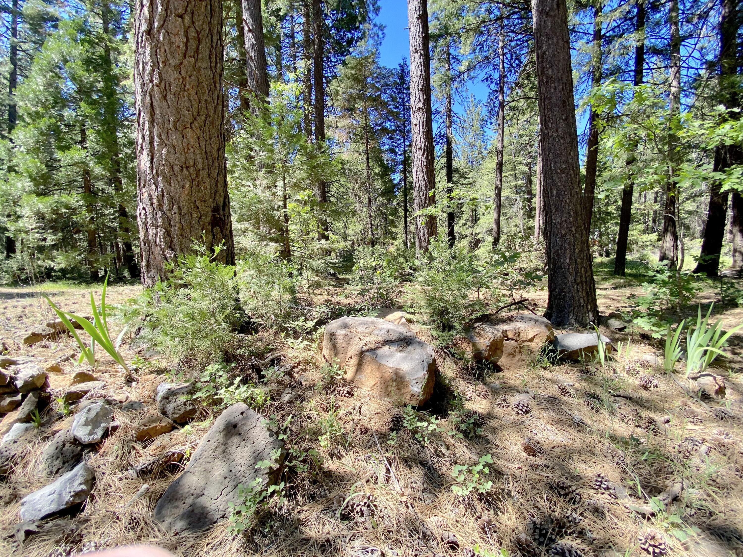 main property photo 13