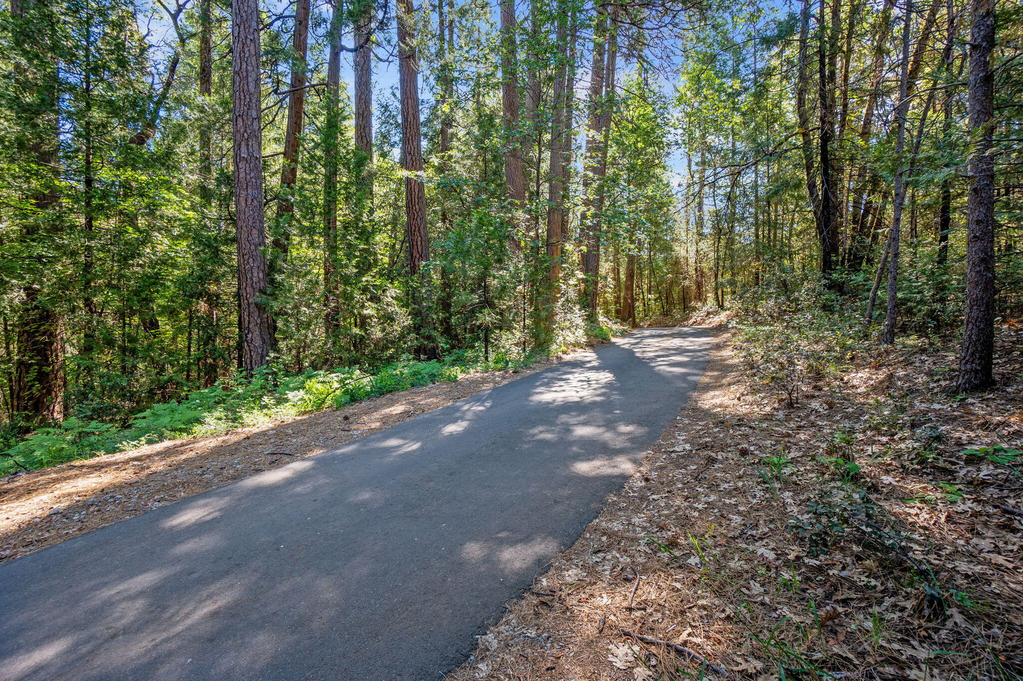 main property photo 55
