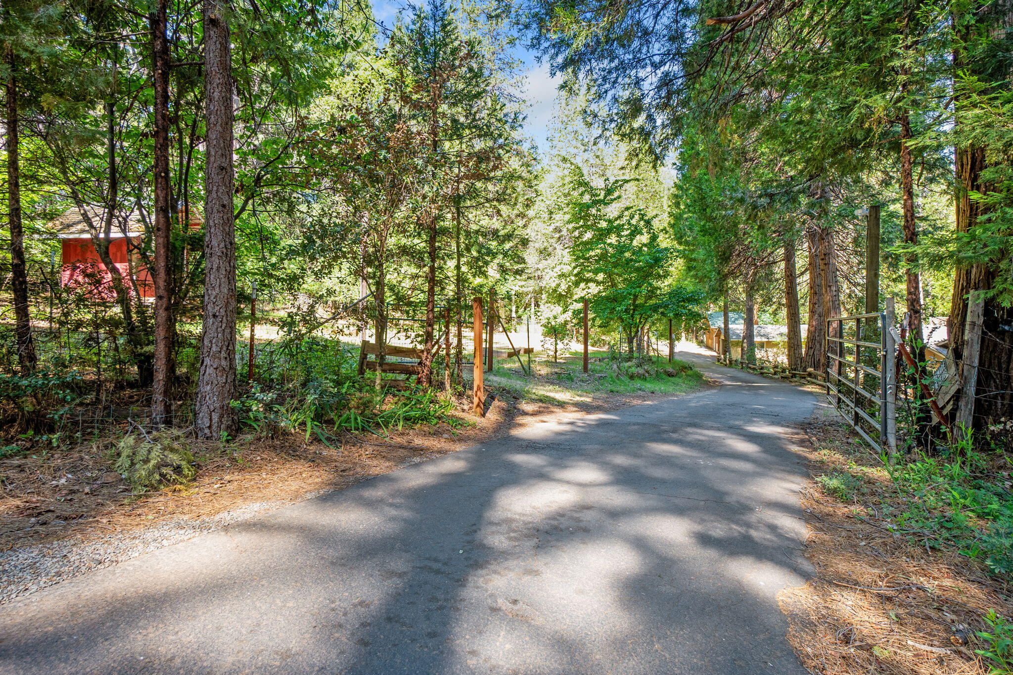 main property photo 57