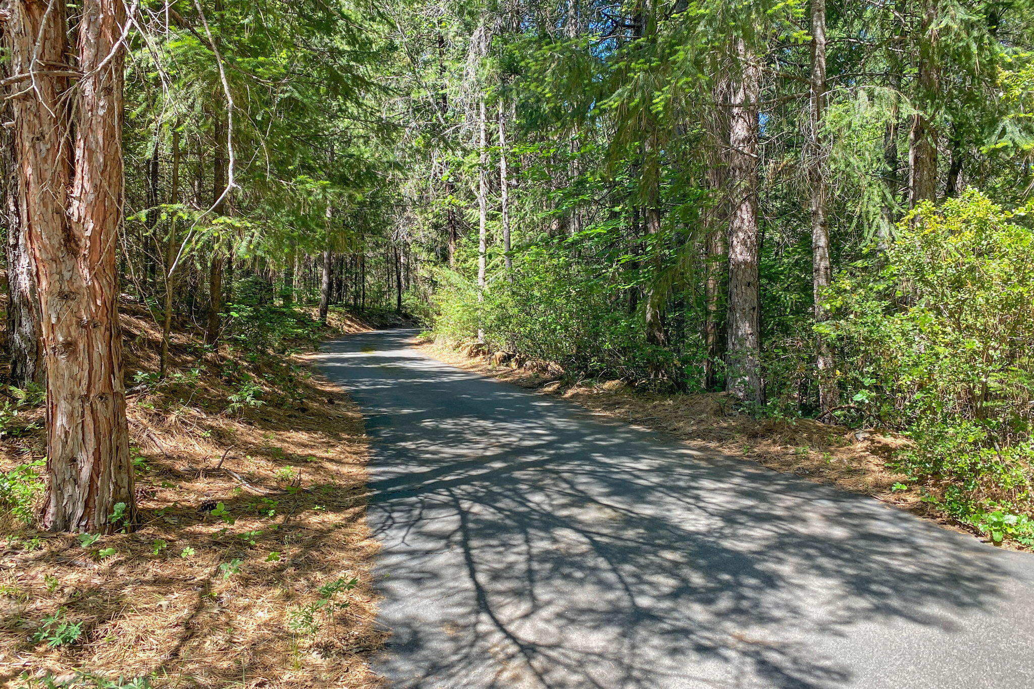 main property photo 58