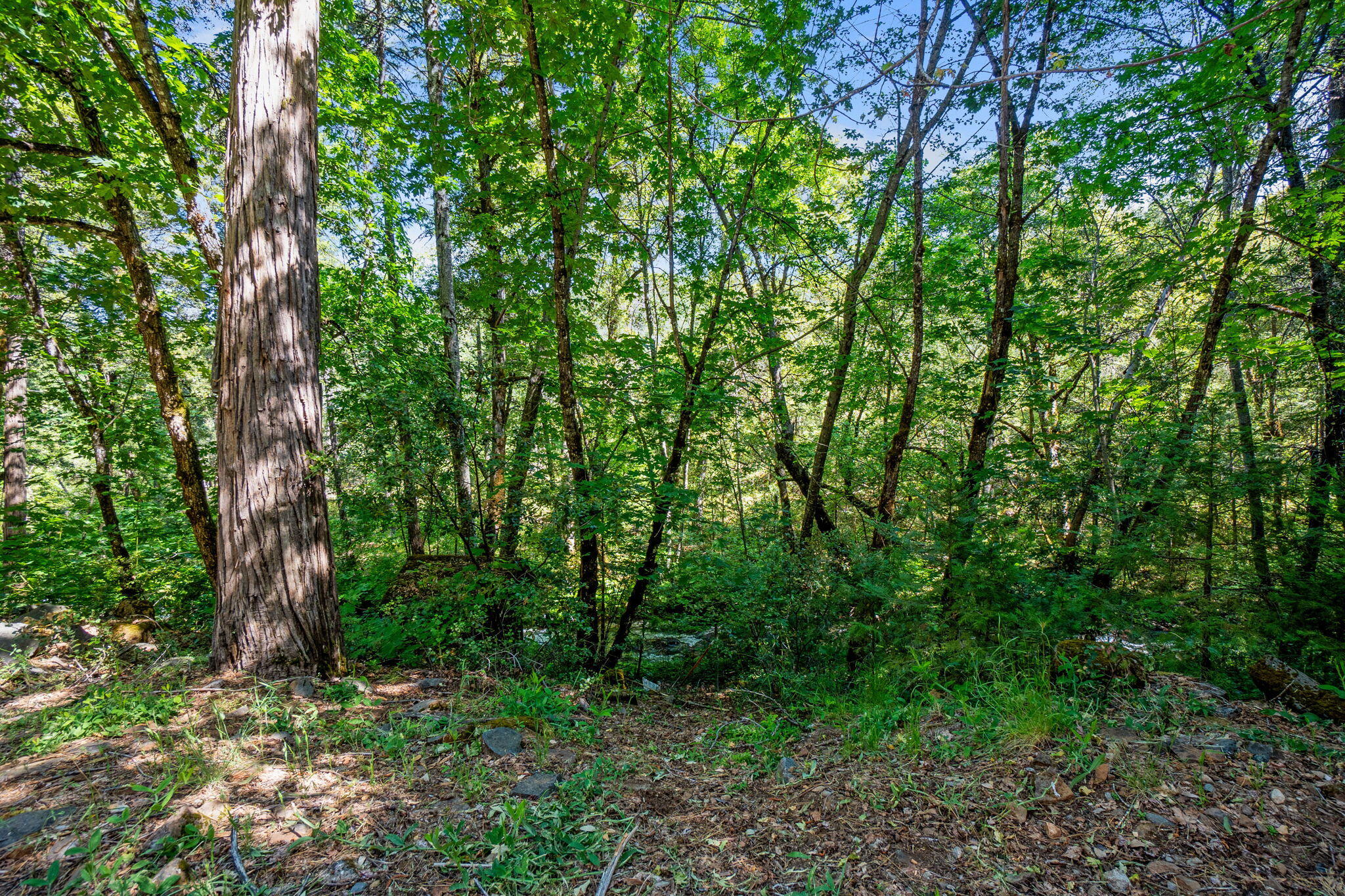 main property photo 60