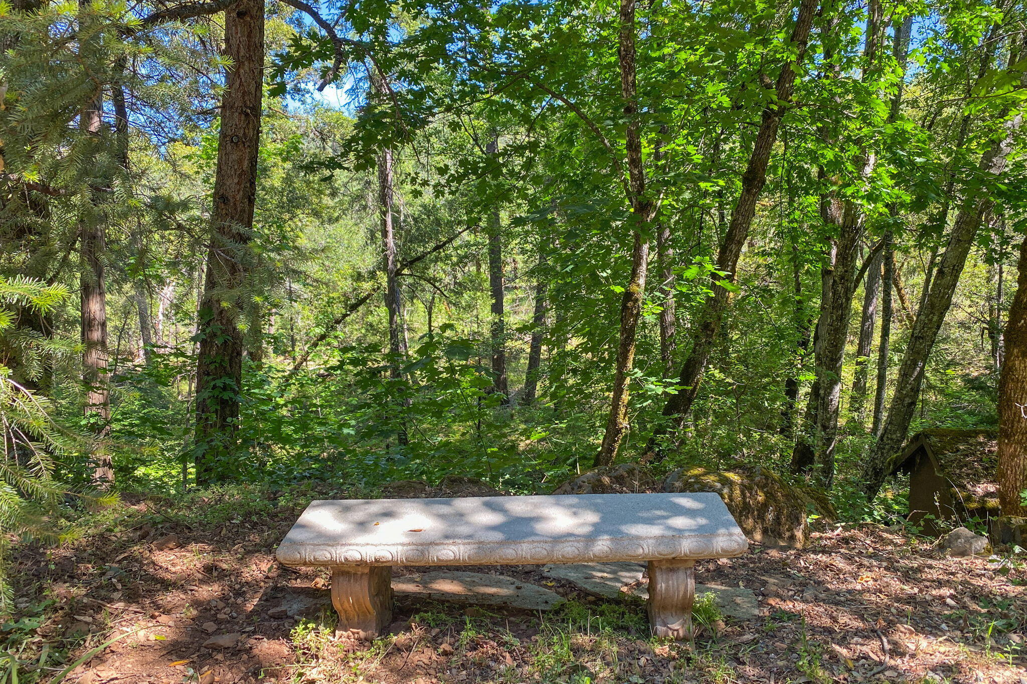 main property photo 61