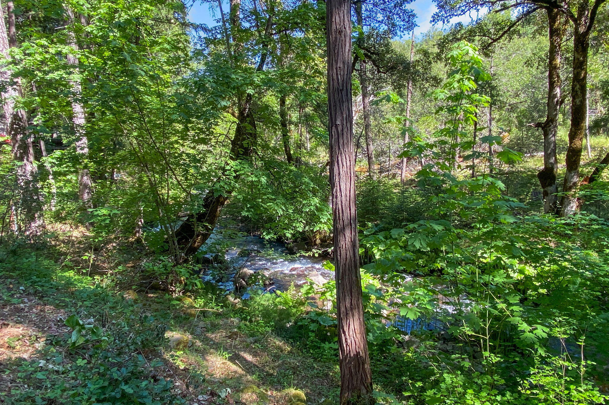 main property photo 62