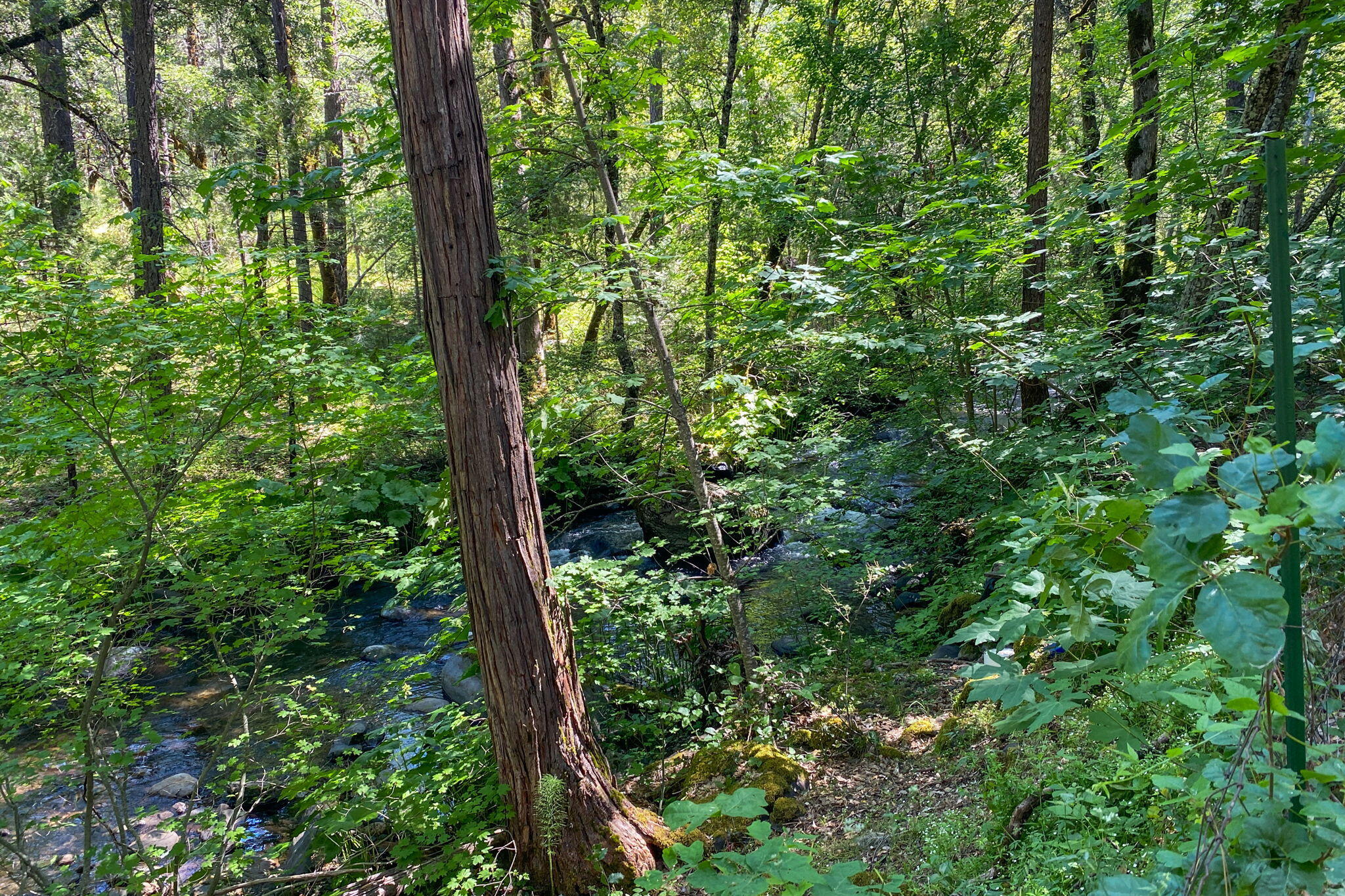 main property photo 63