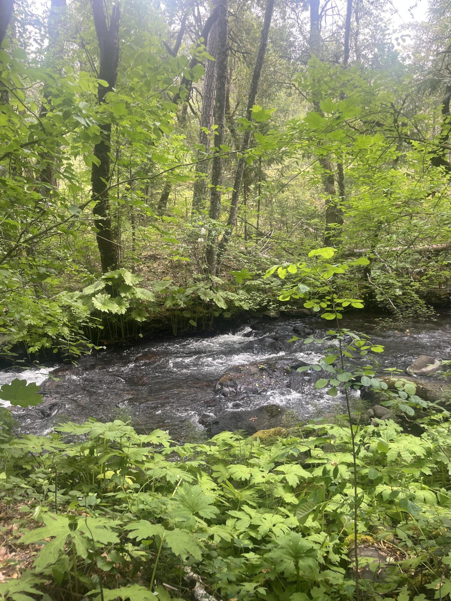 main property photo 64