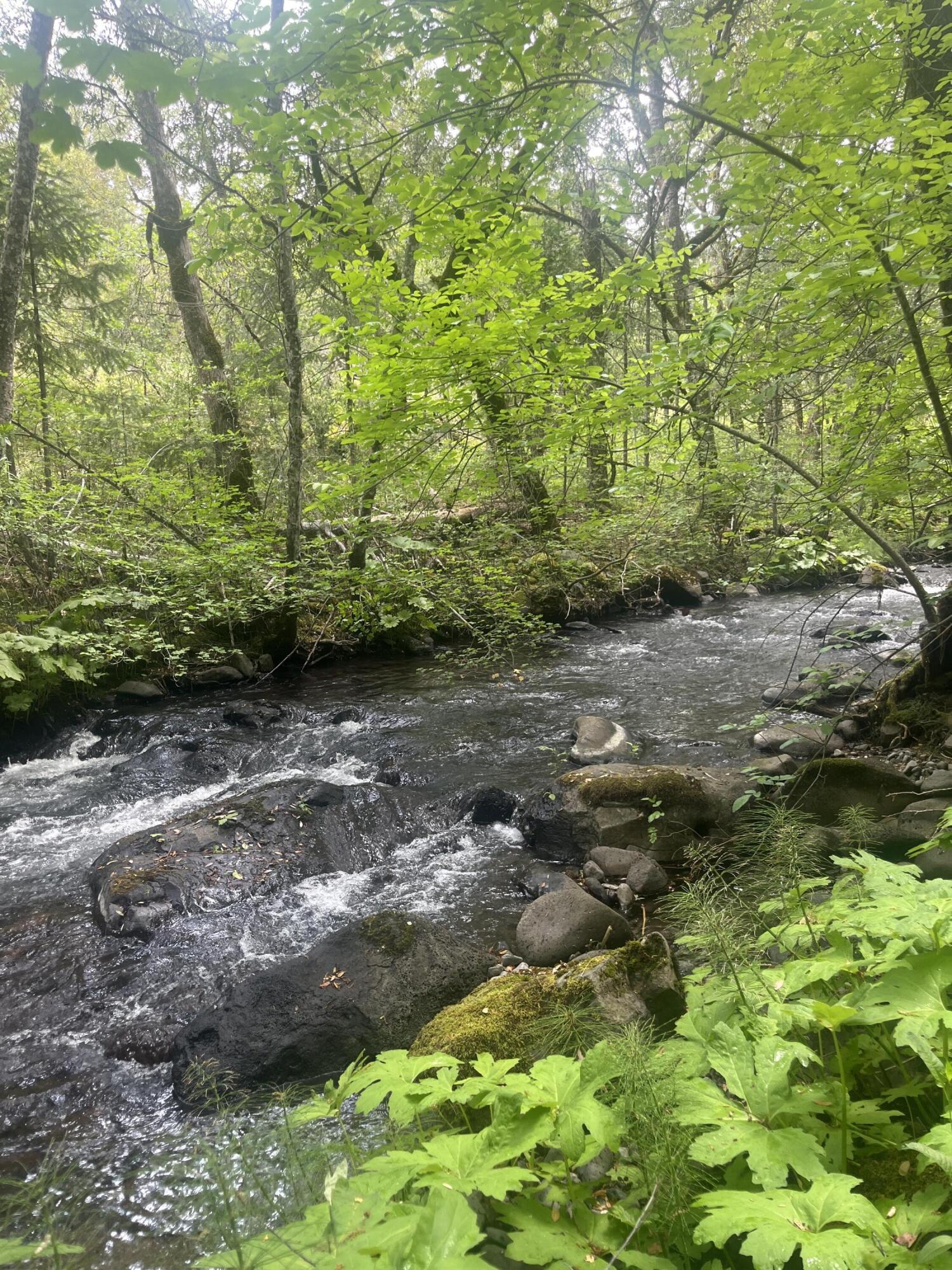 main property photo 65