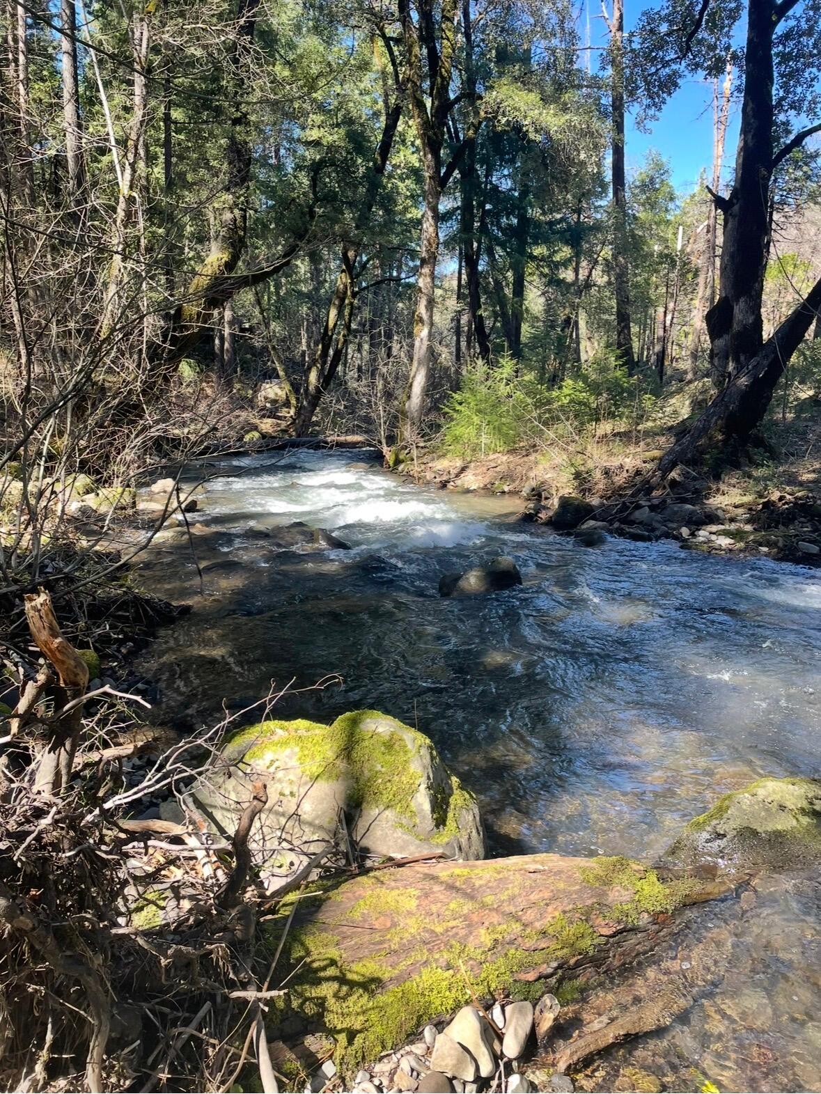 main property photo 67