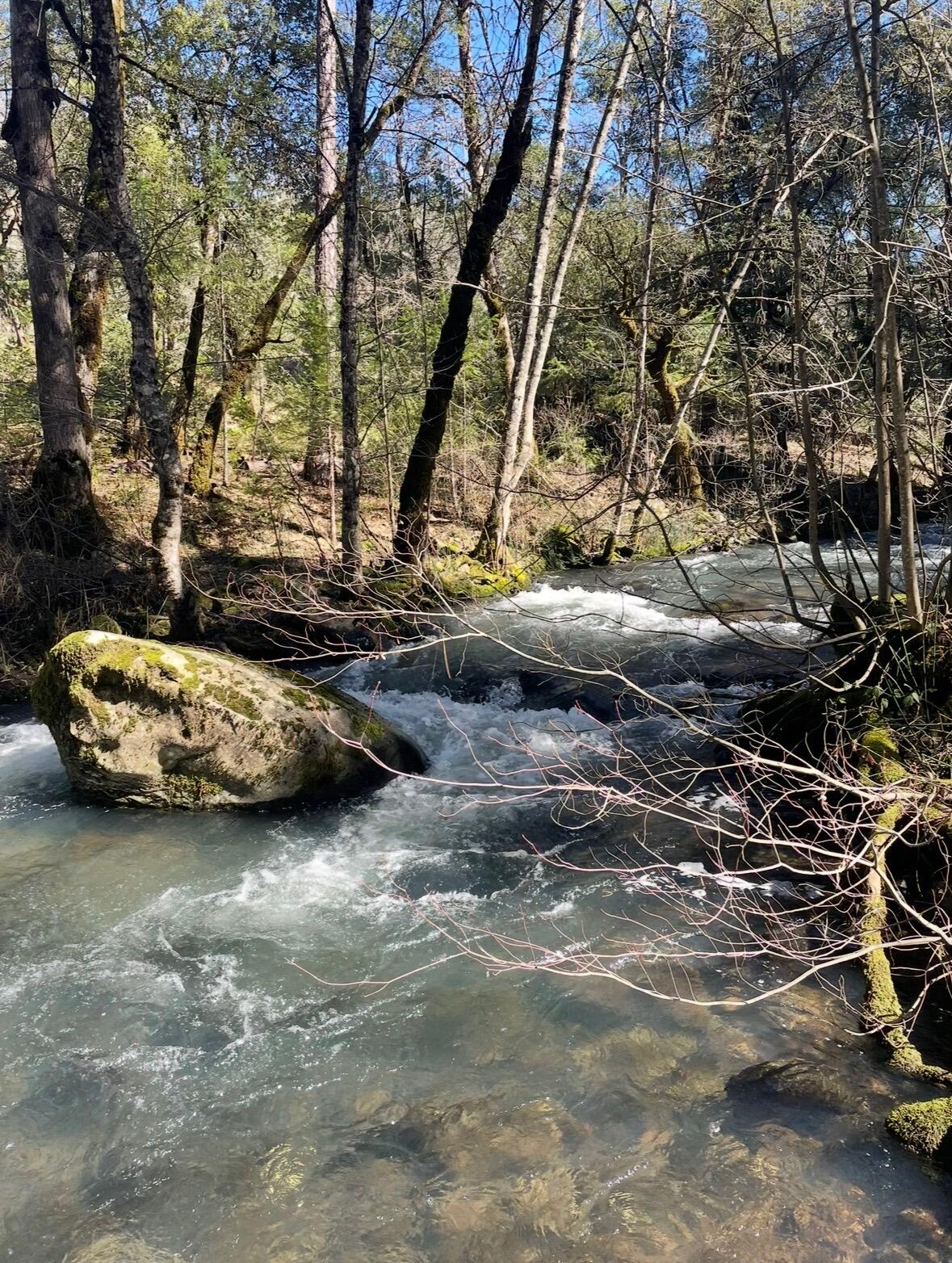 main property photo 68