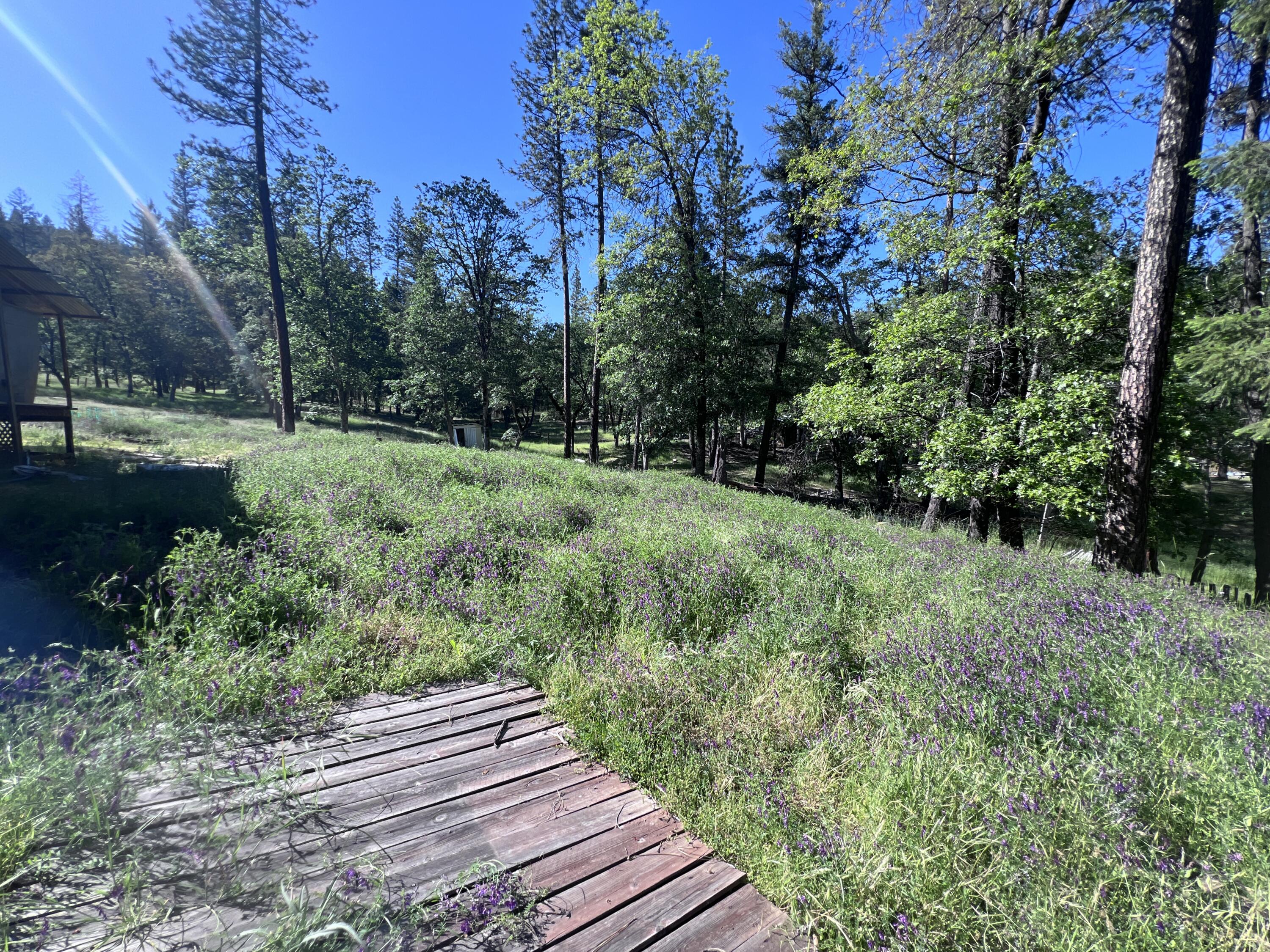 main property photo 16