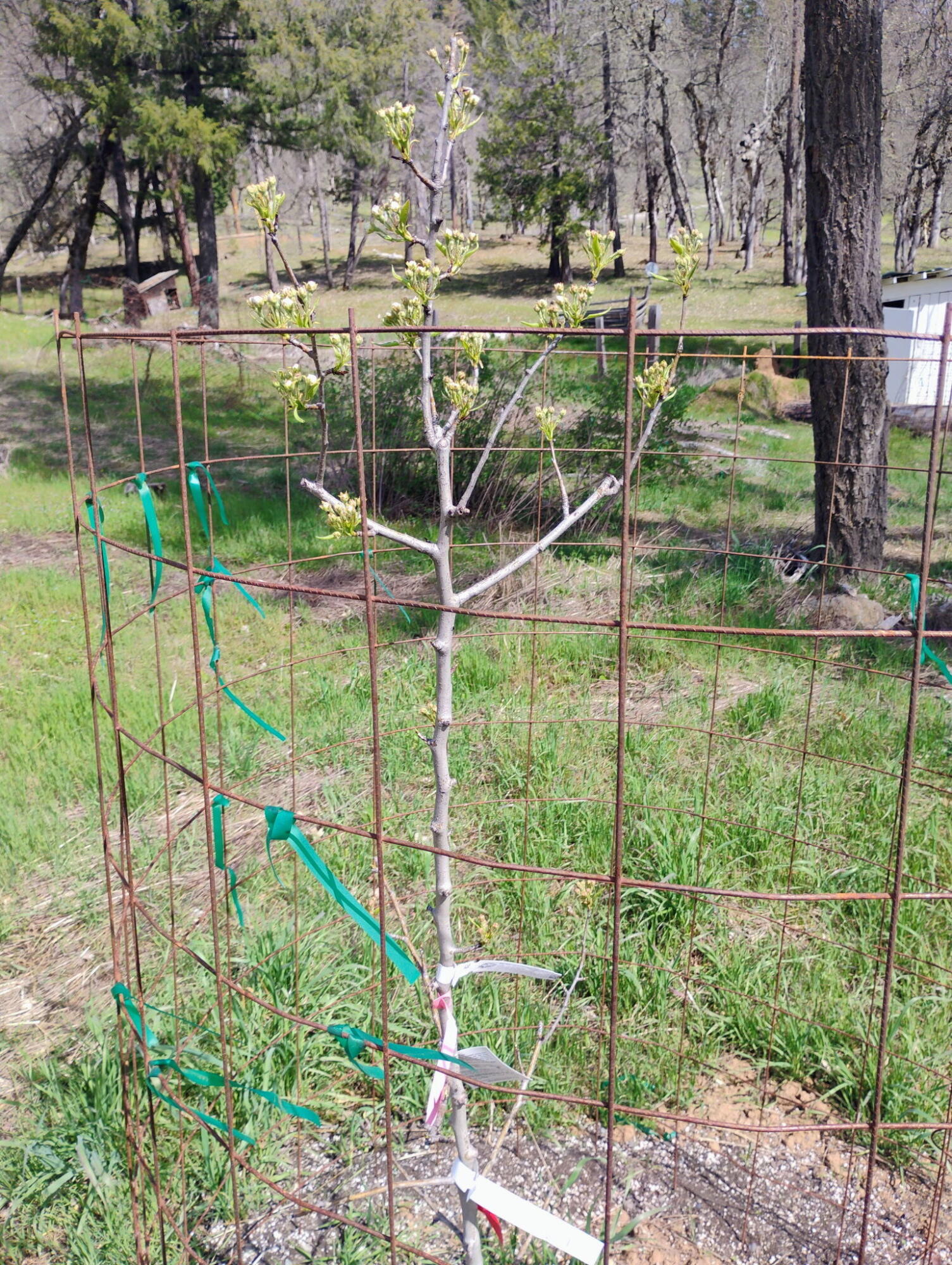 main property photo 27