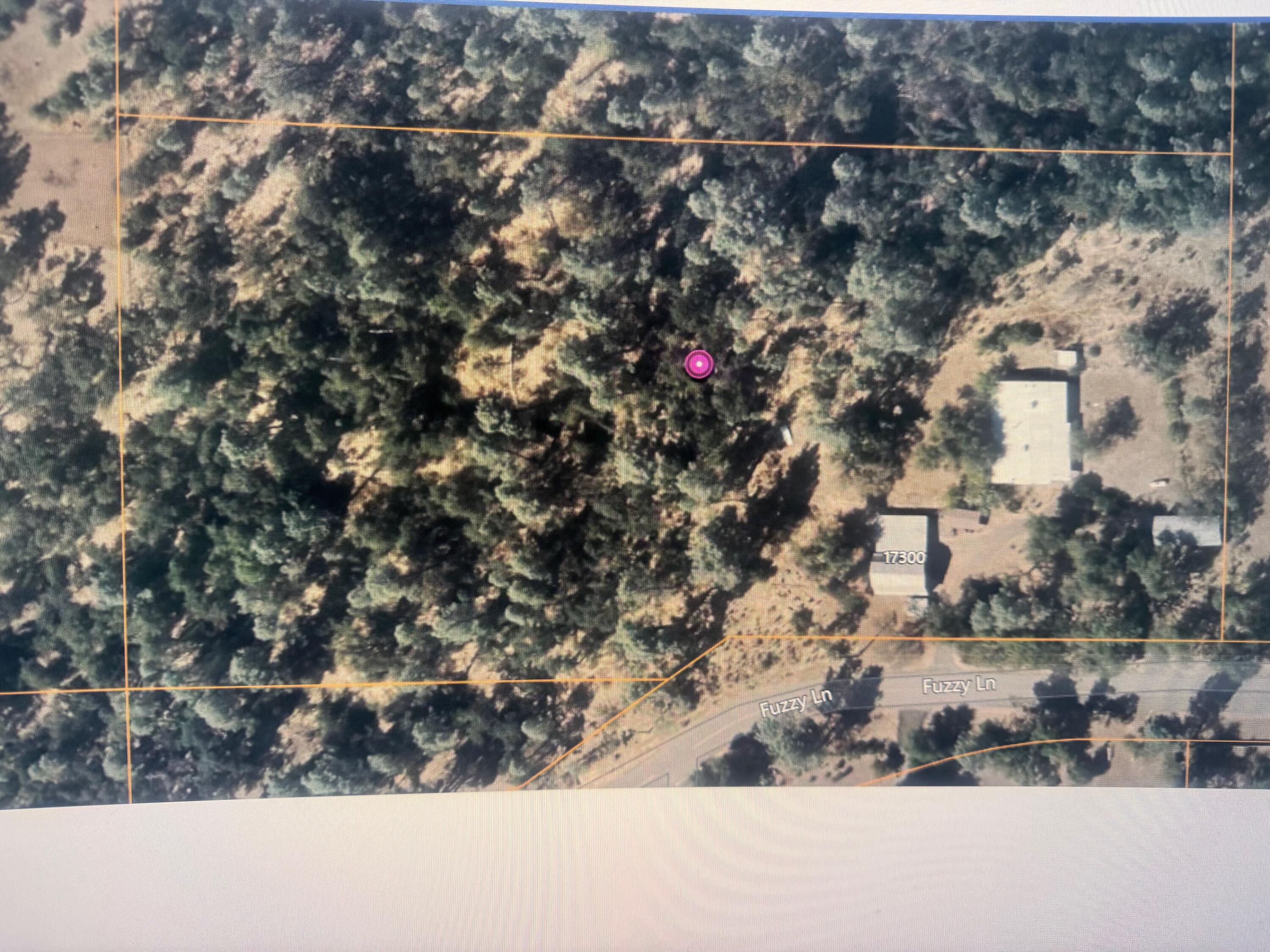 main property photo 40