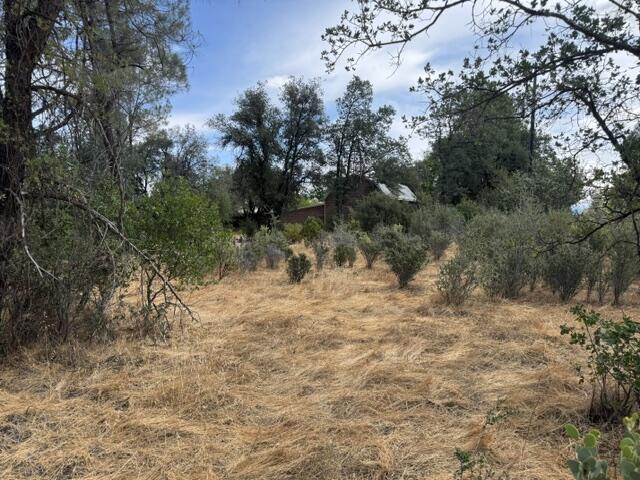 main property photo 43