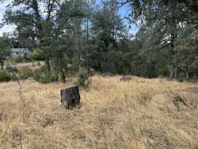 main property photo 44