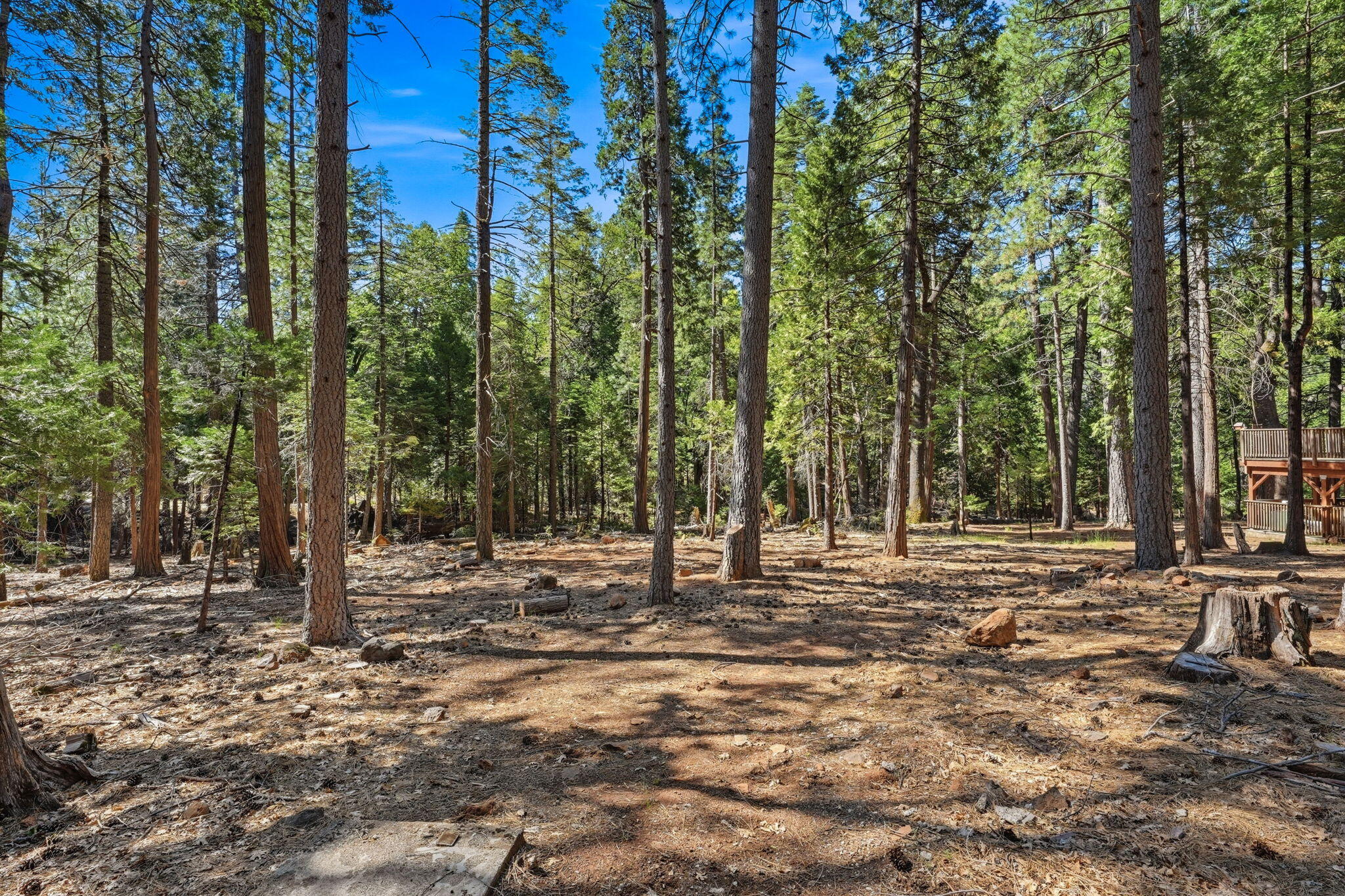 main property photo 22