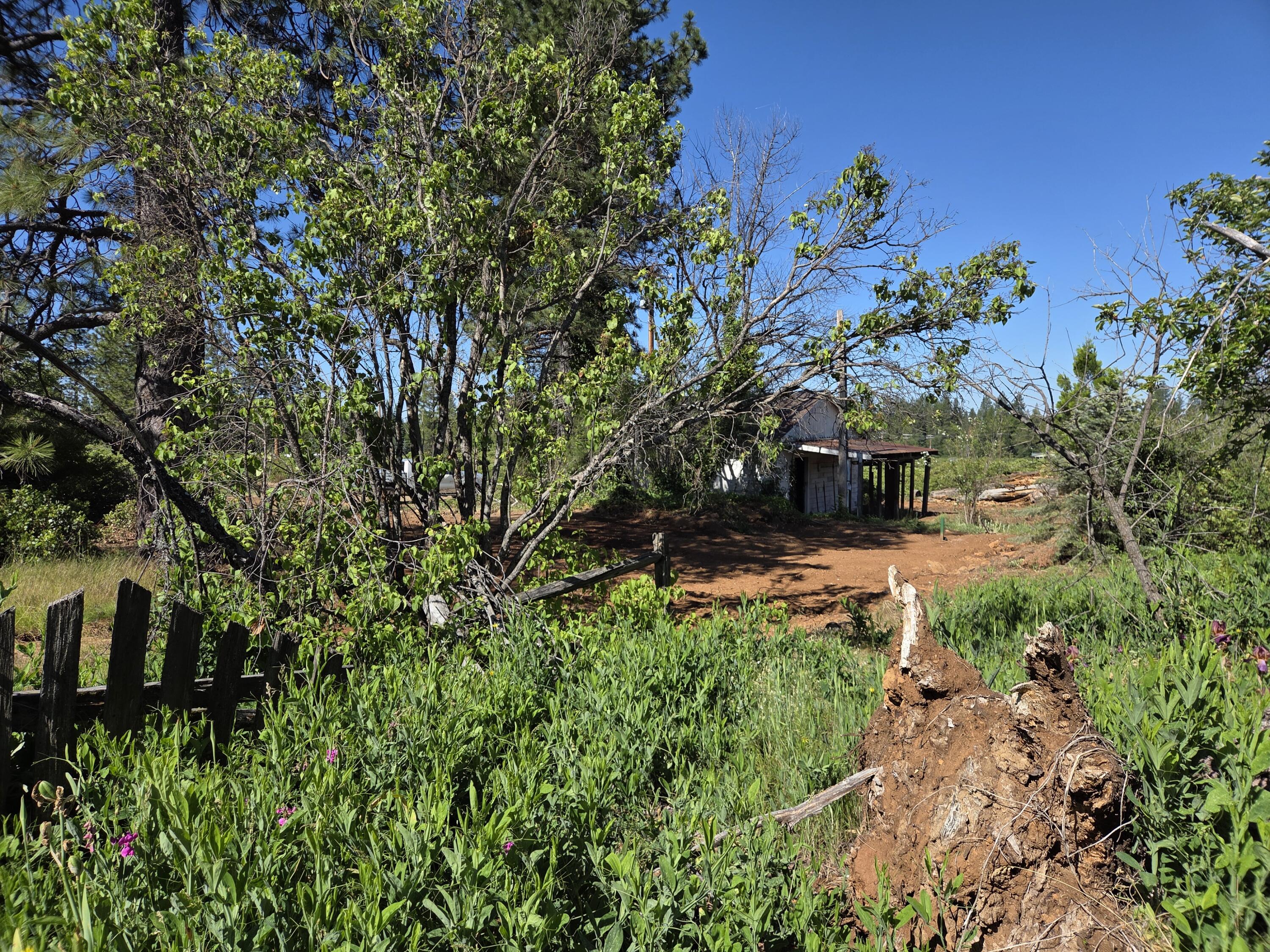 main property photo 6