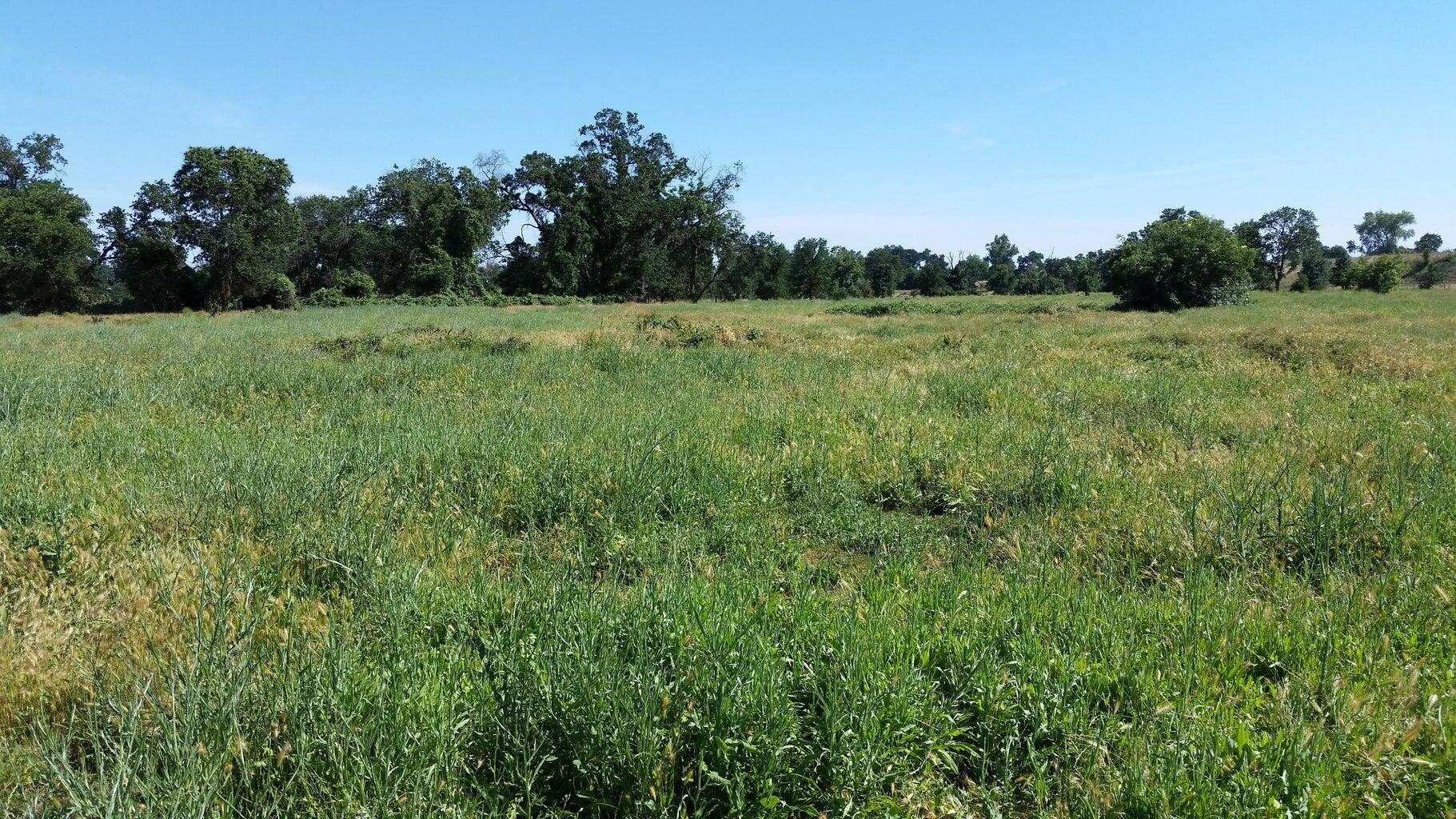 main property photo 15