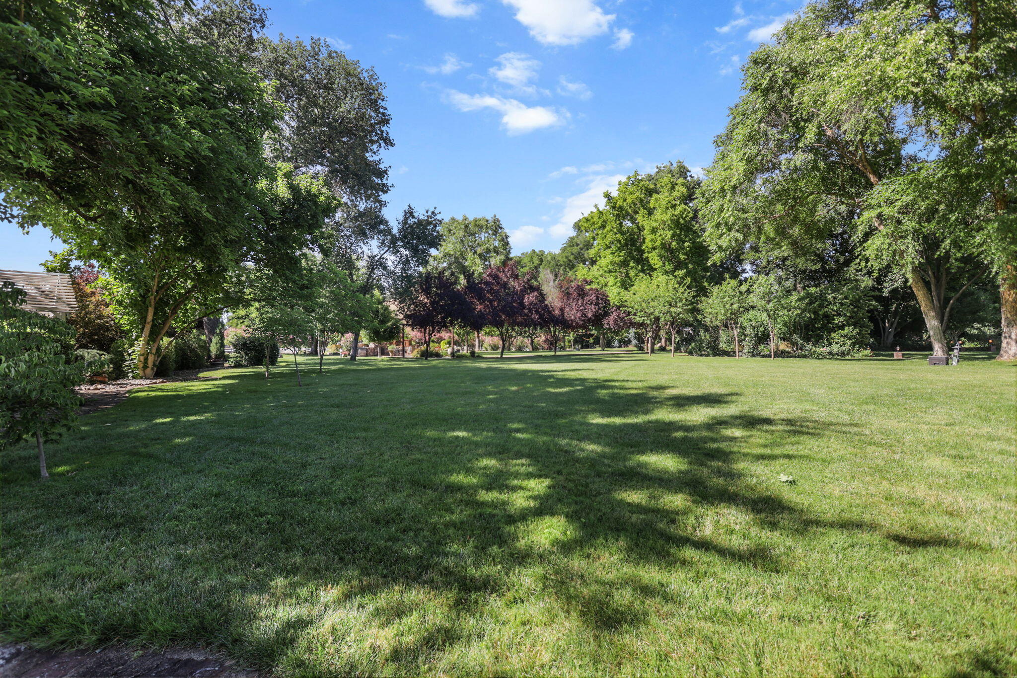 main property photo 129