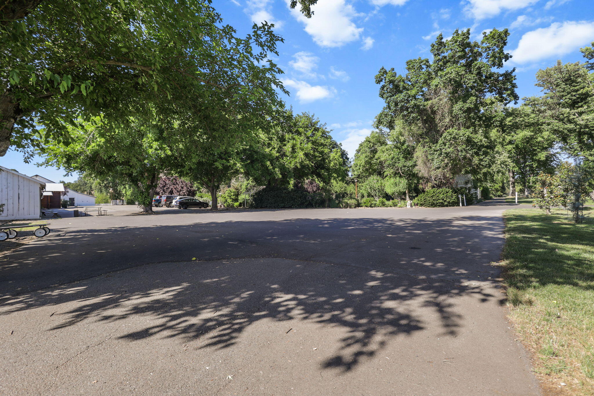 main property photo 132