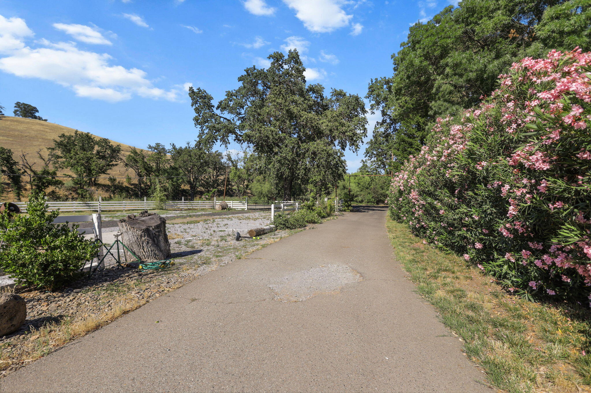 main property photo 136