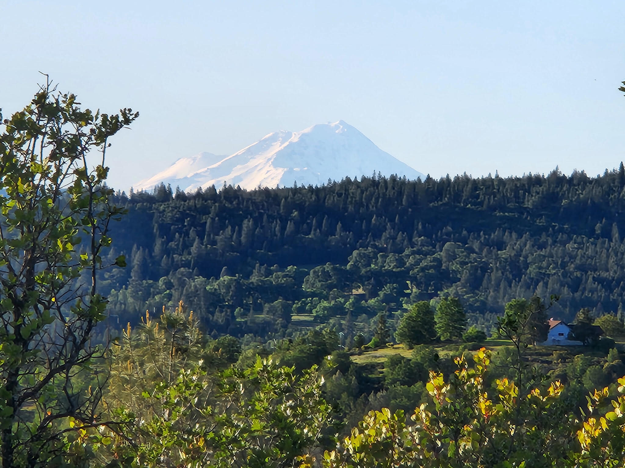 main property photo 62
