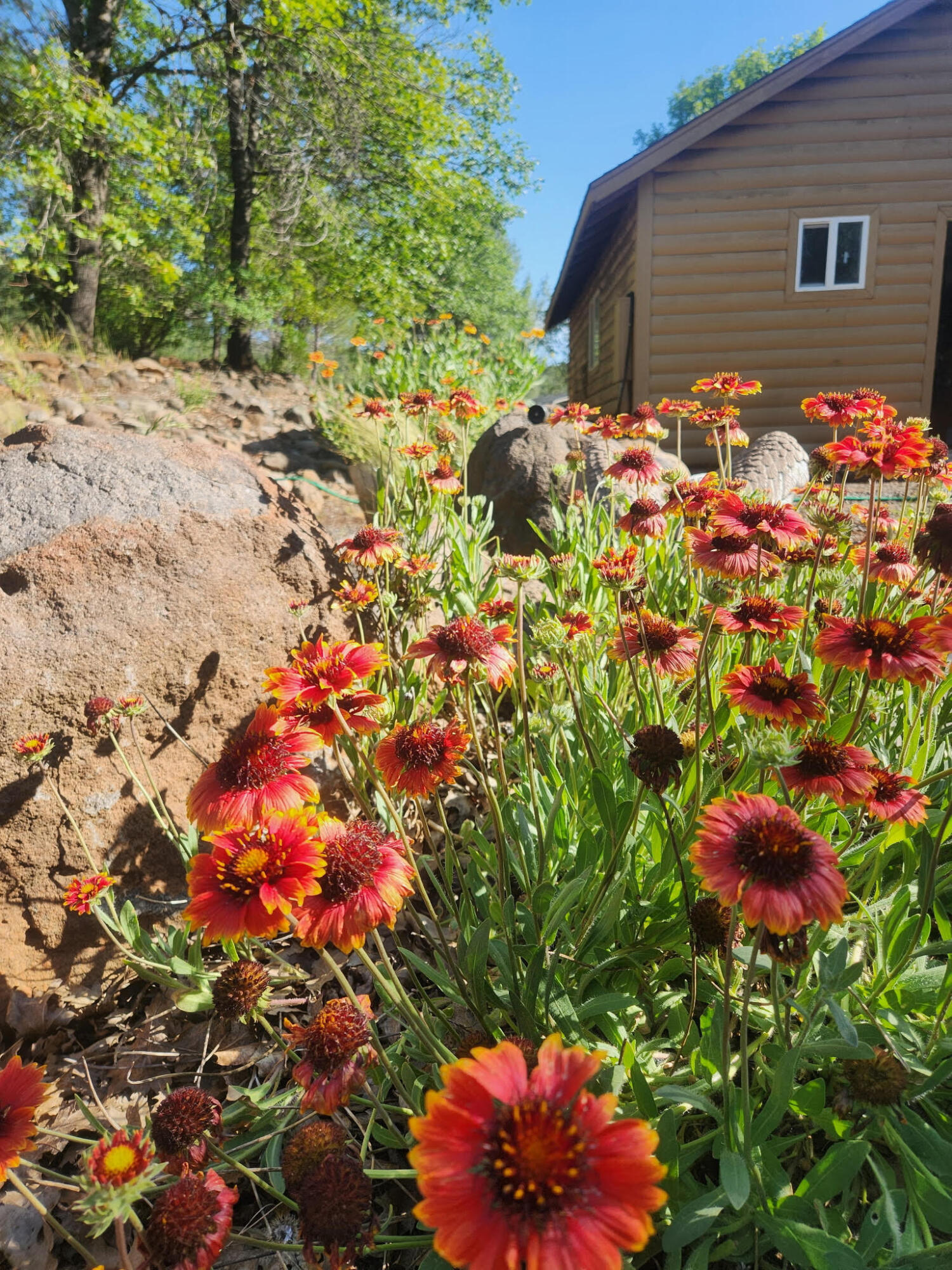 main property photo 64