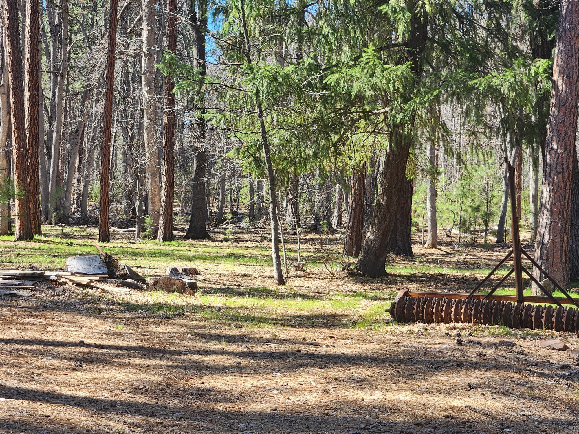 main property photo 29