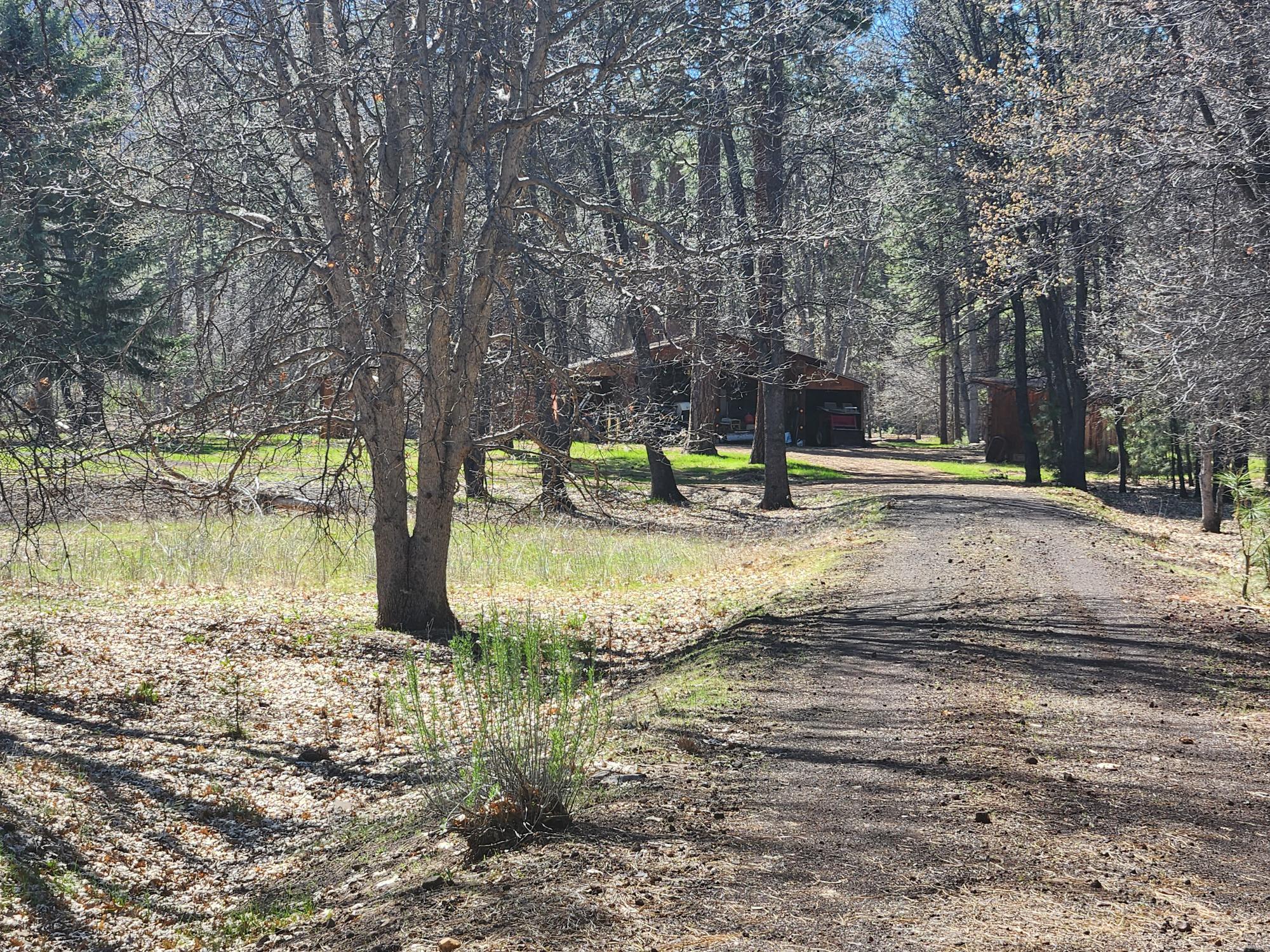 main property photo 31