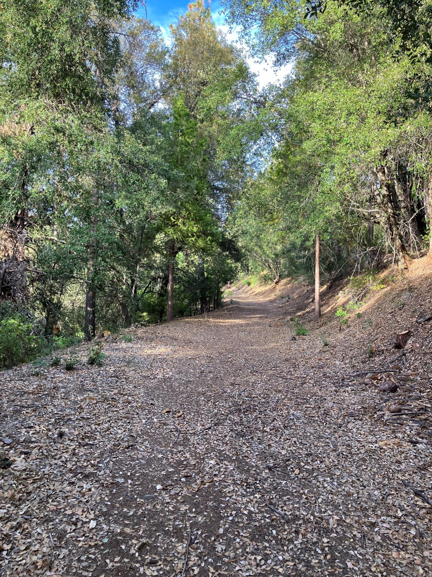 main property photo 71