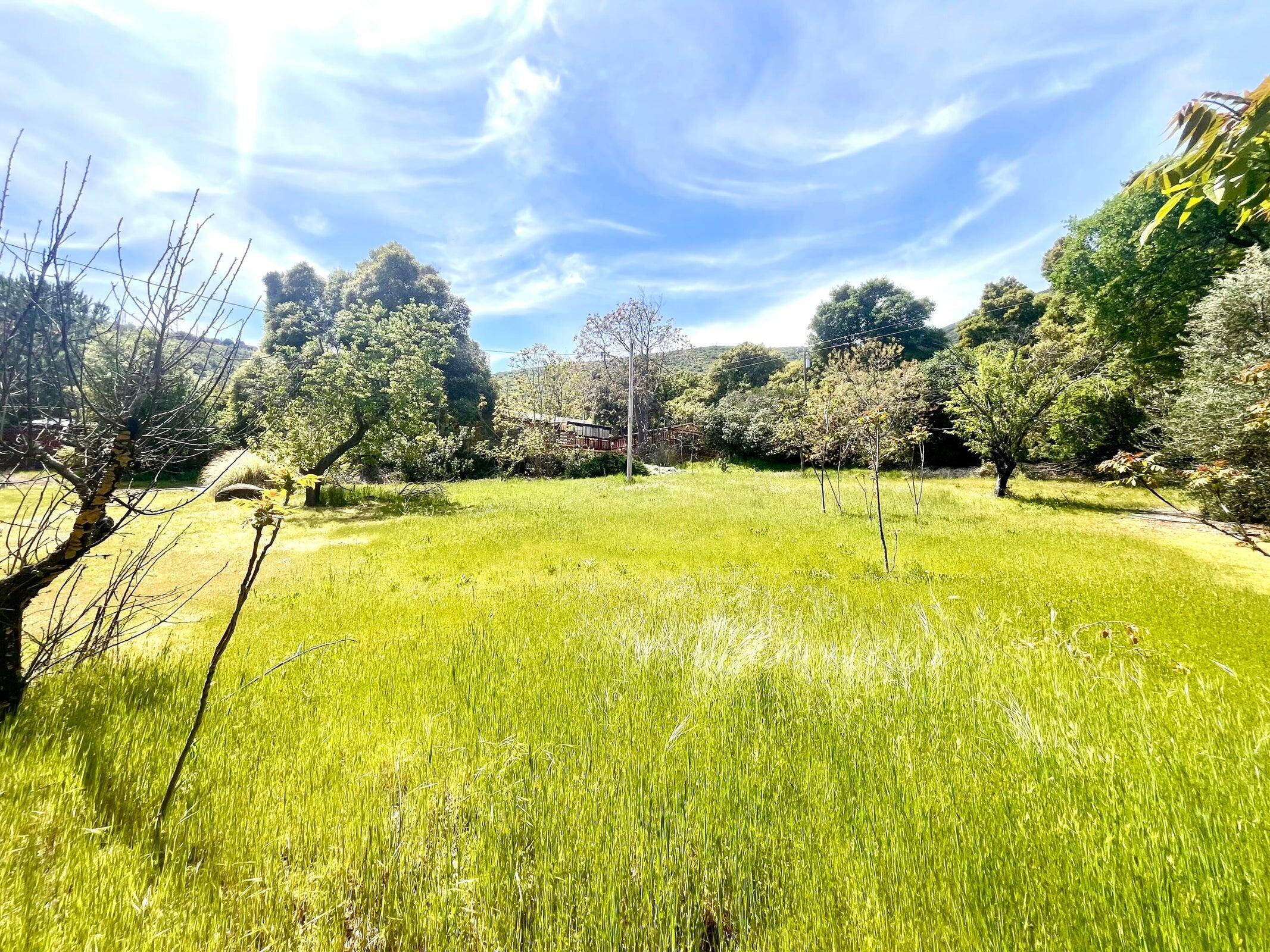 main property photo 45