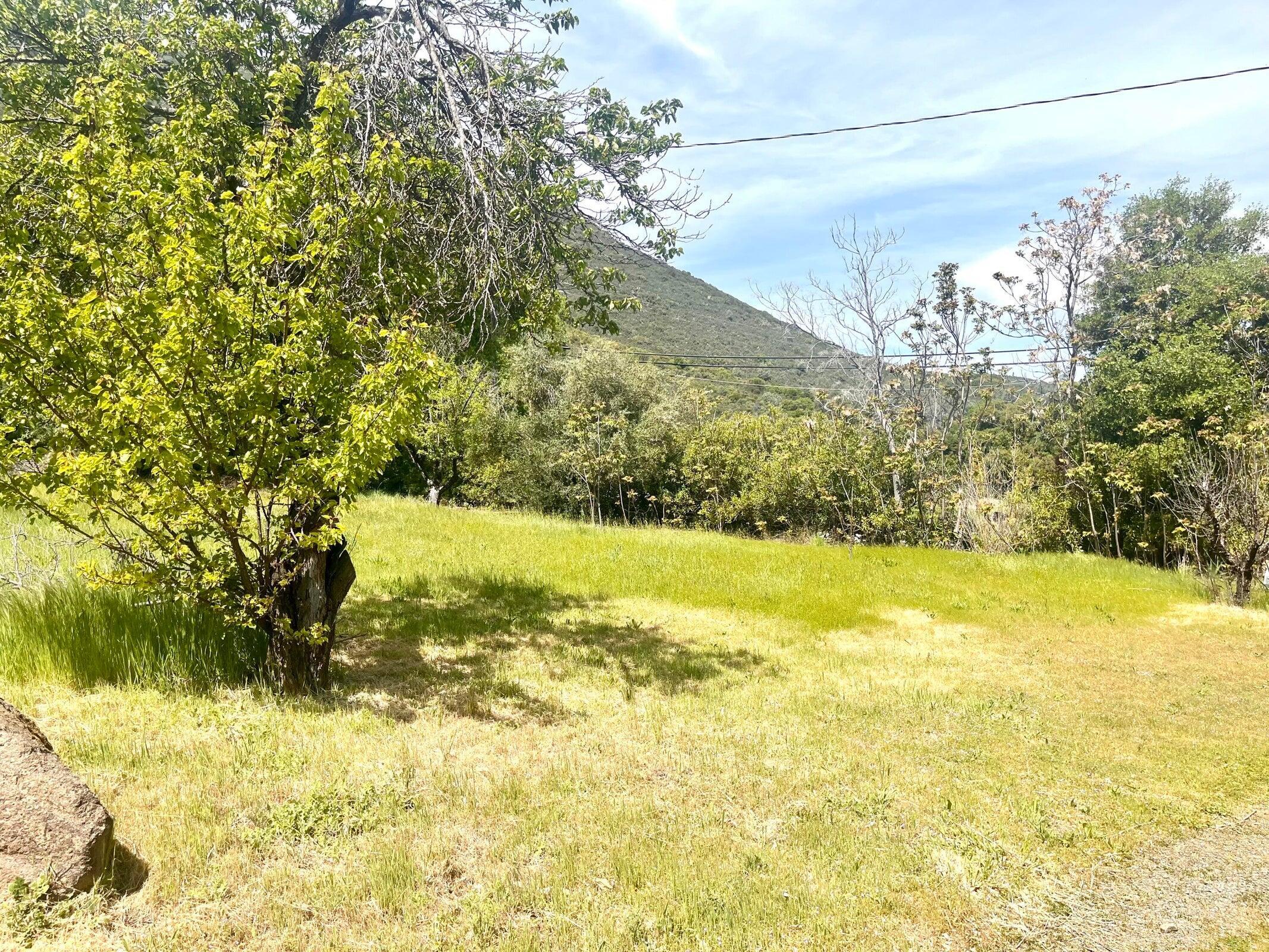 main property photo 47