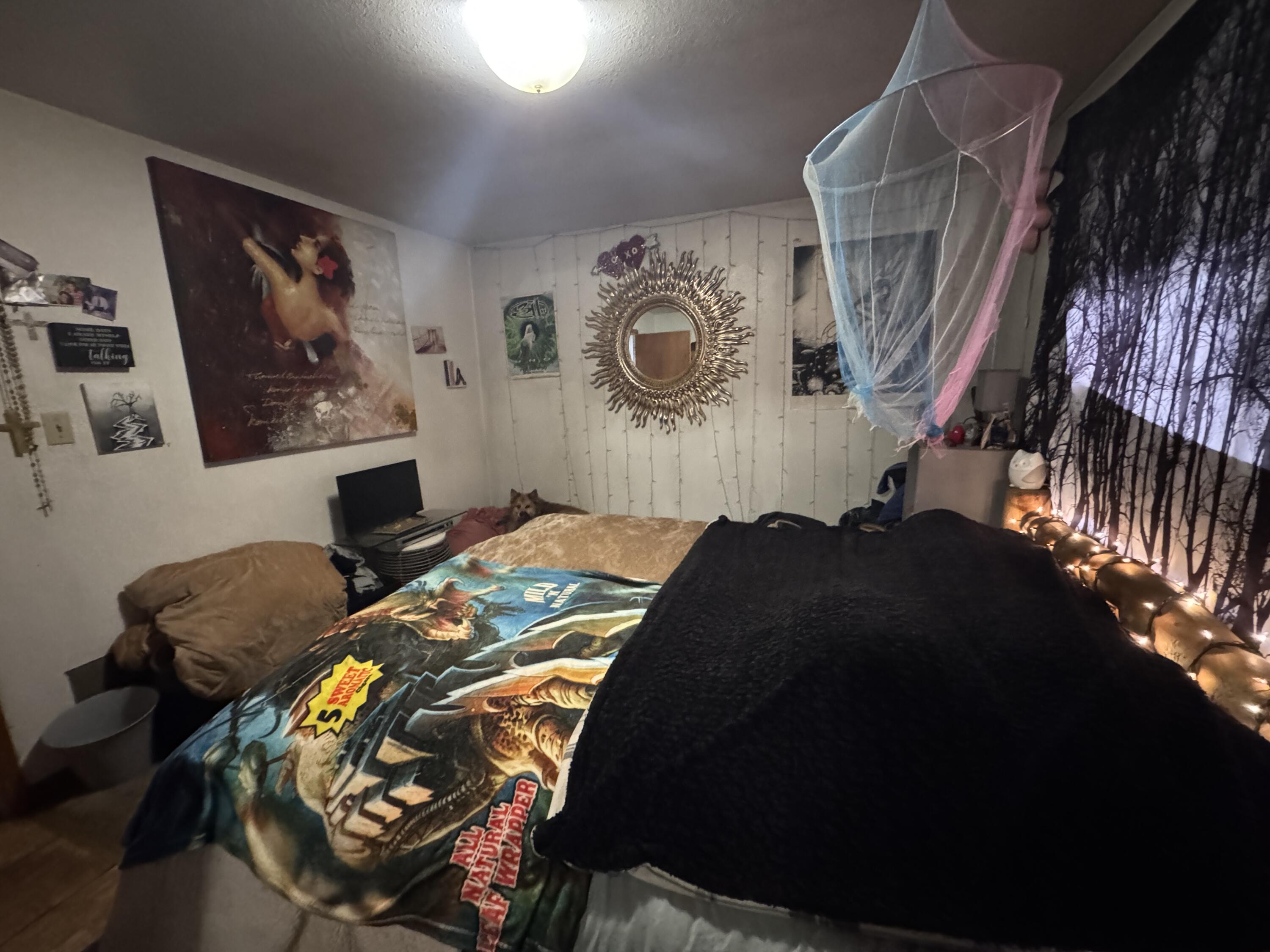 main property photo 36