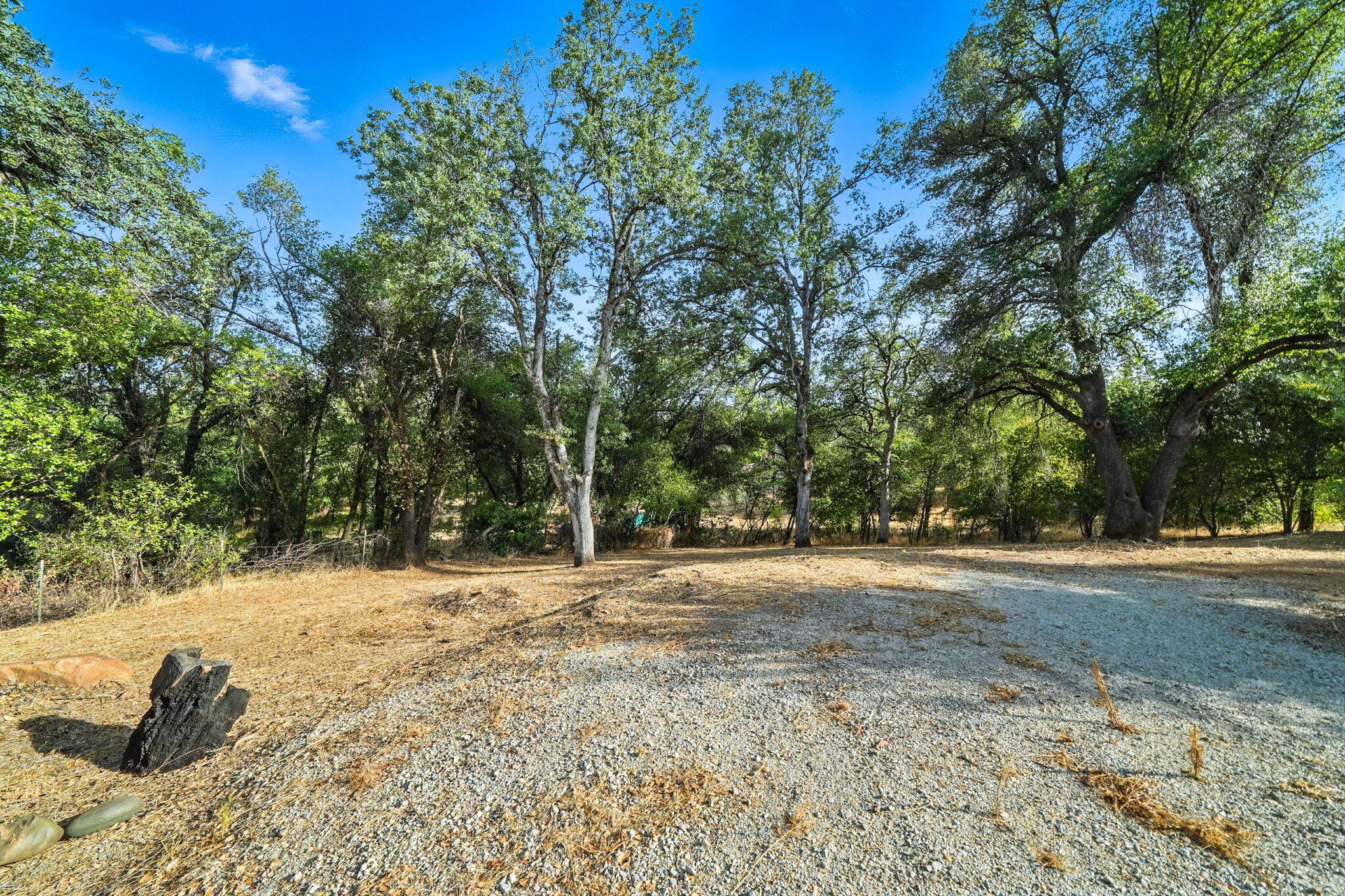 main property photo 68