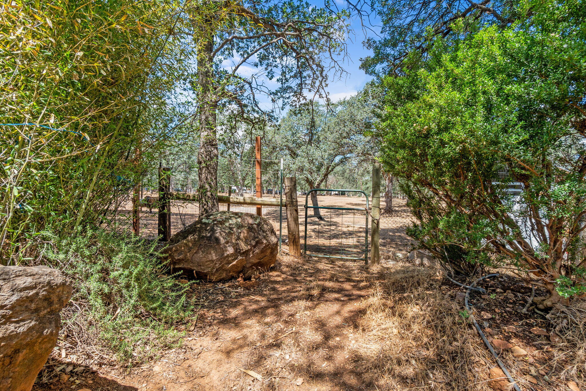 main property photo 52