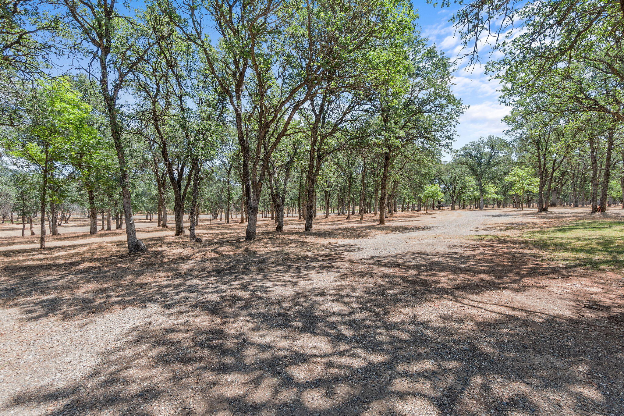 main property photo 68