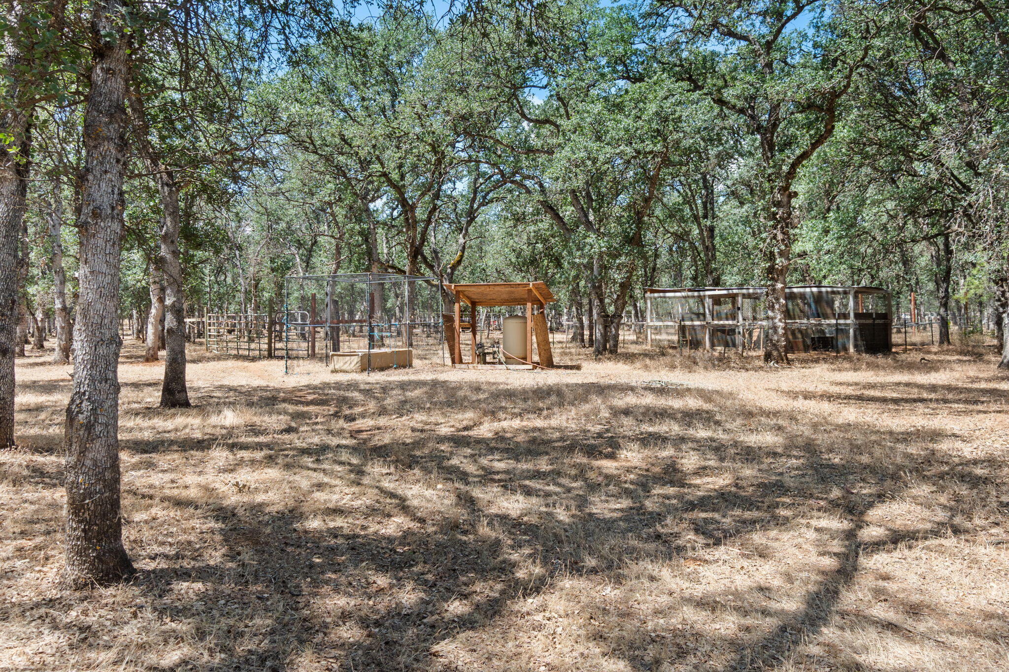 main property photo 69