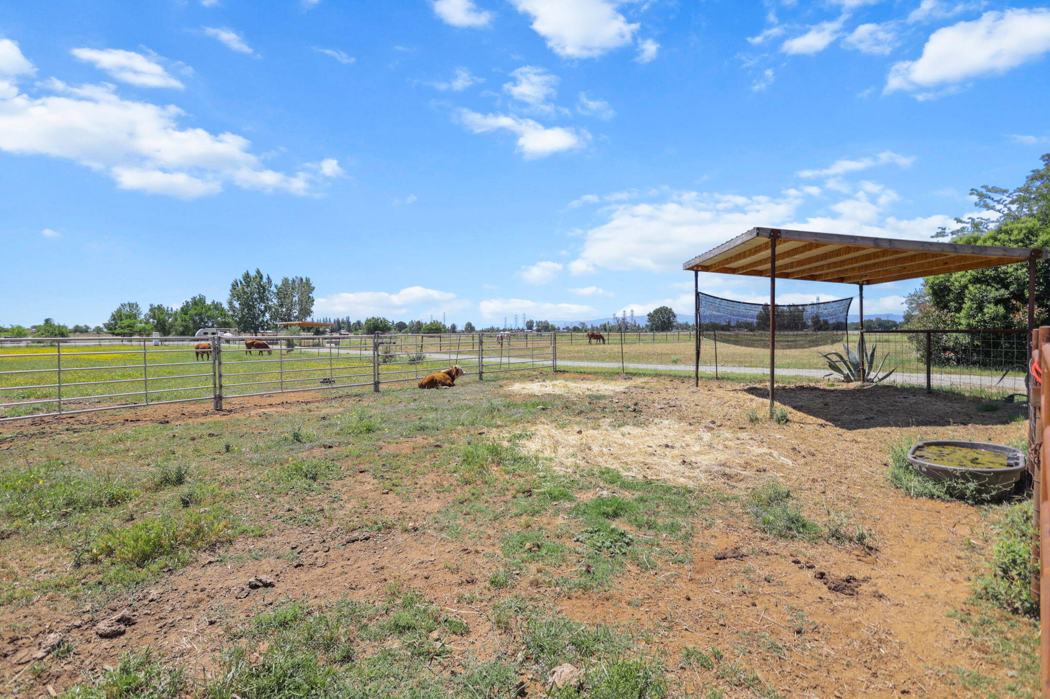 main property photo 48