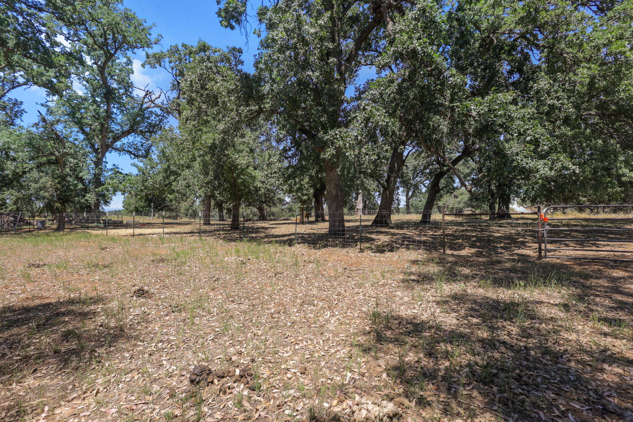main property photo 51