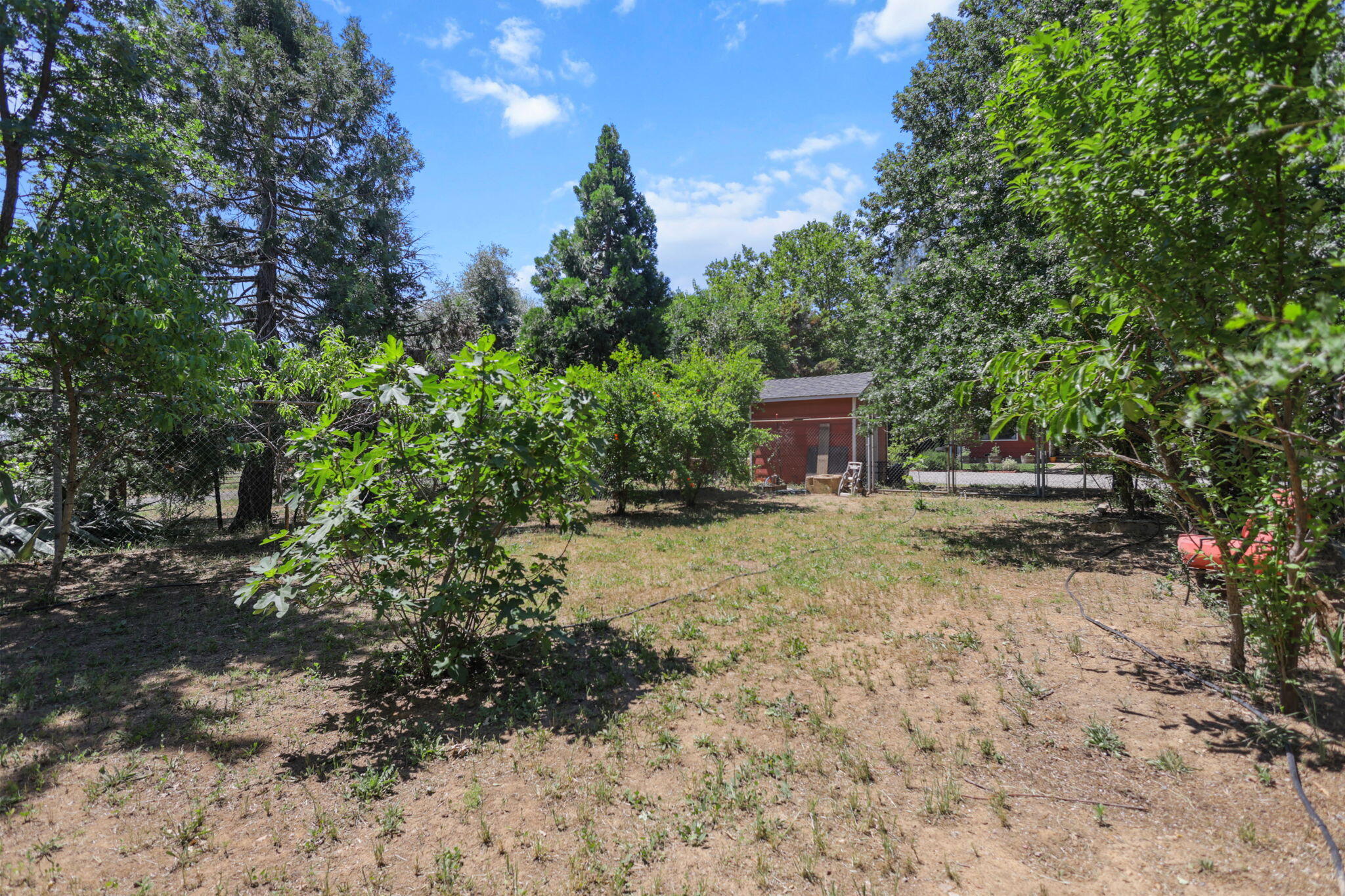 main property photo 58