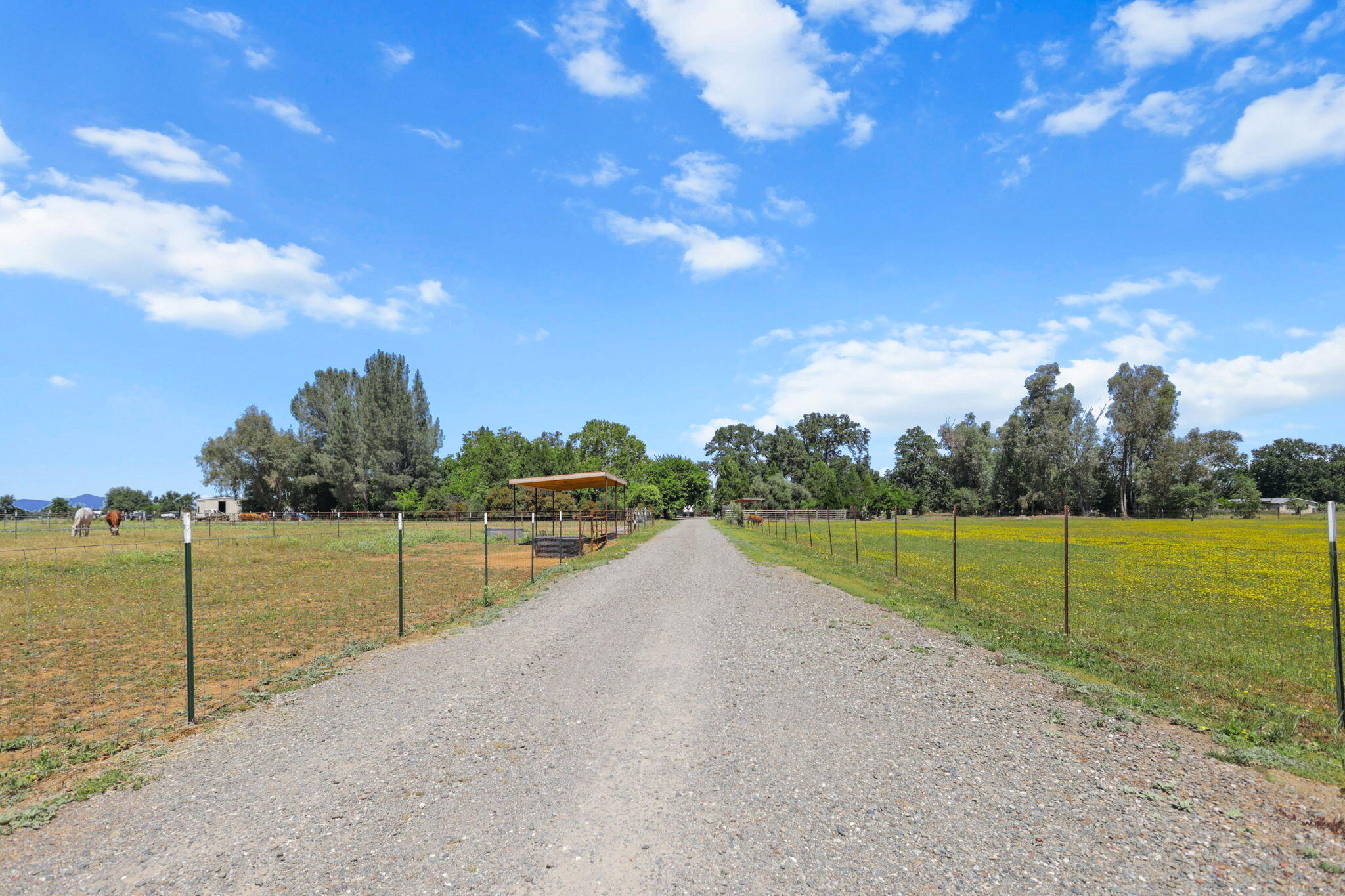 main property photo 81