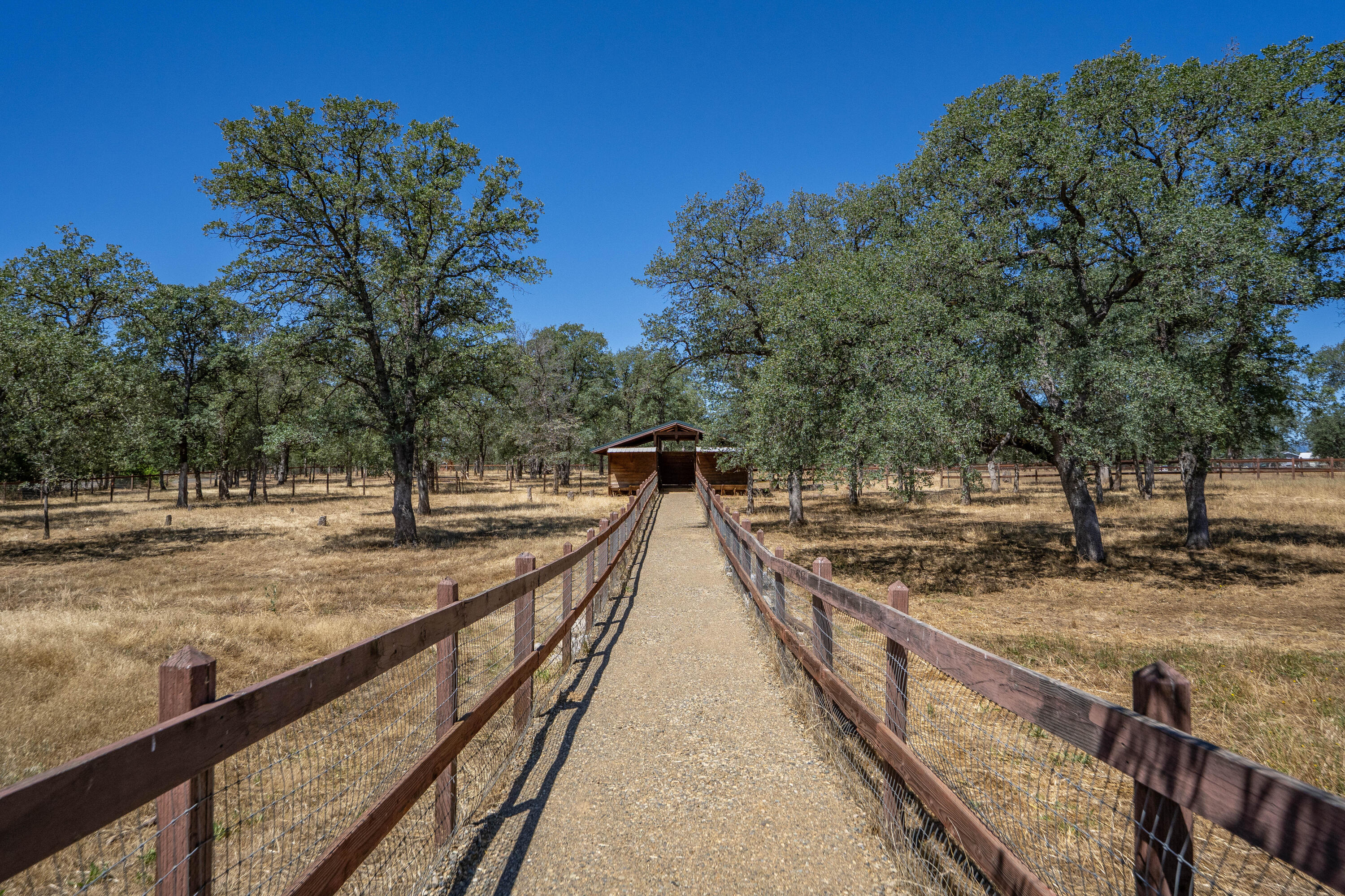 main property photo 103