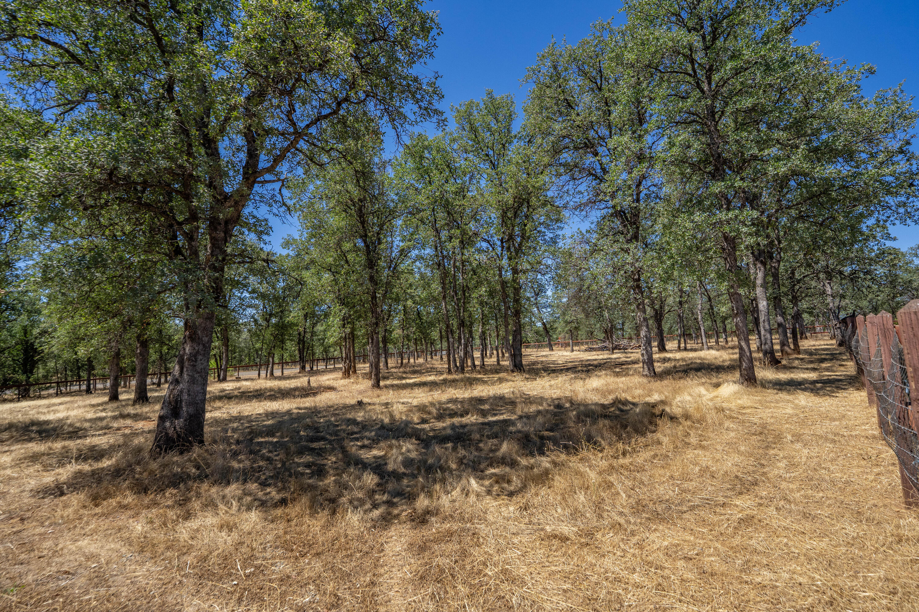 main property photo 114
