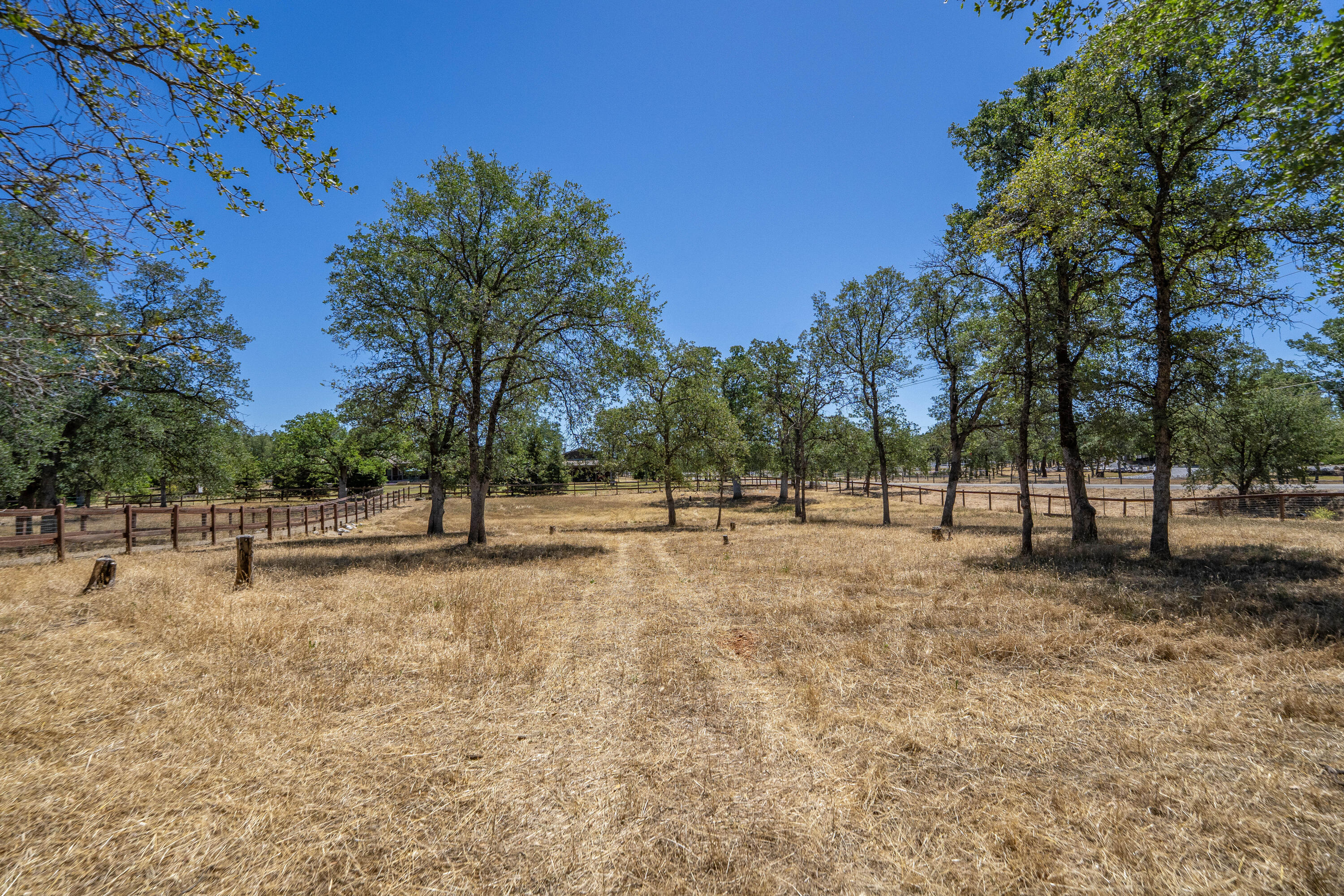 main property photo 117