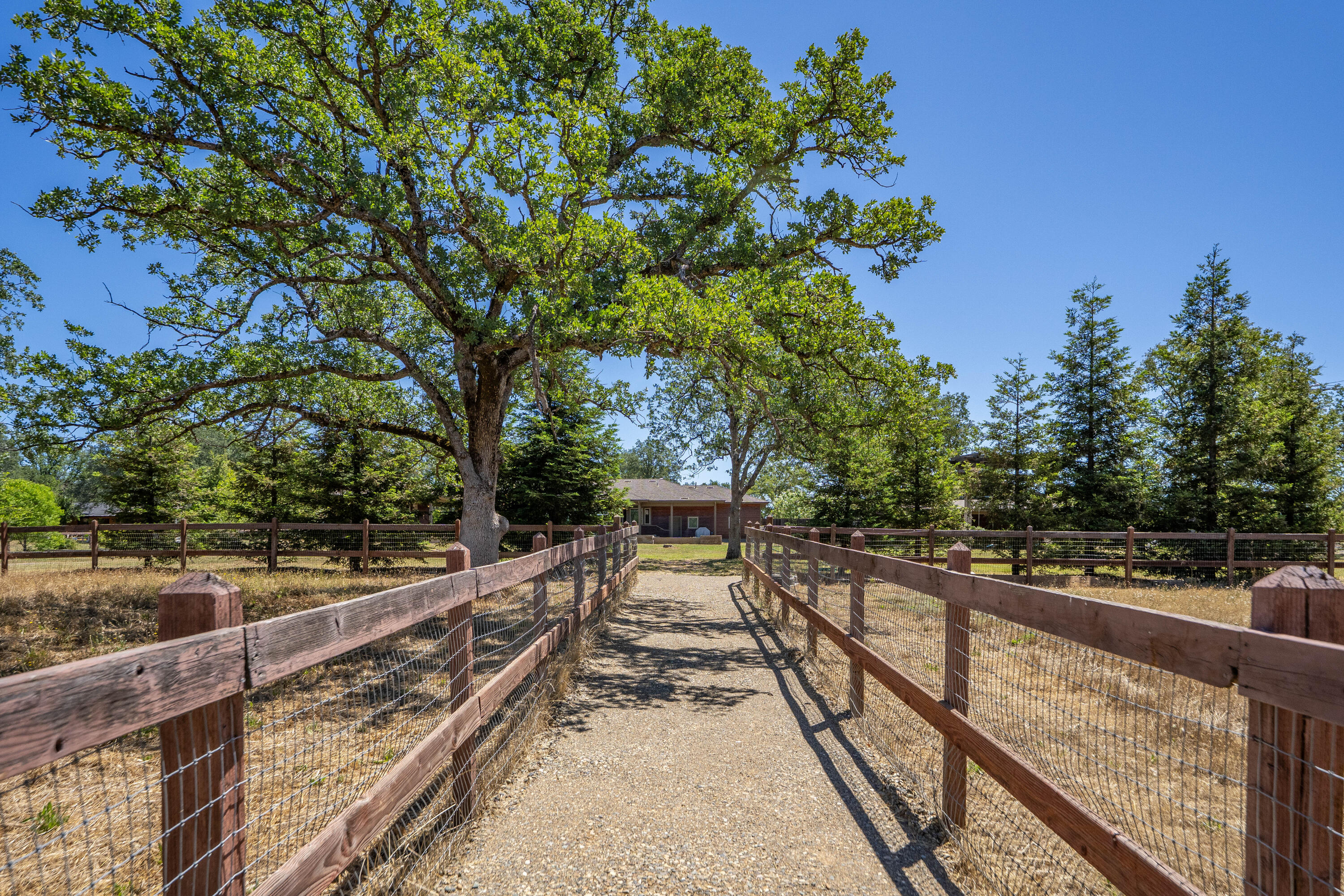 main property photo 118