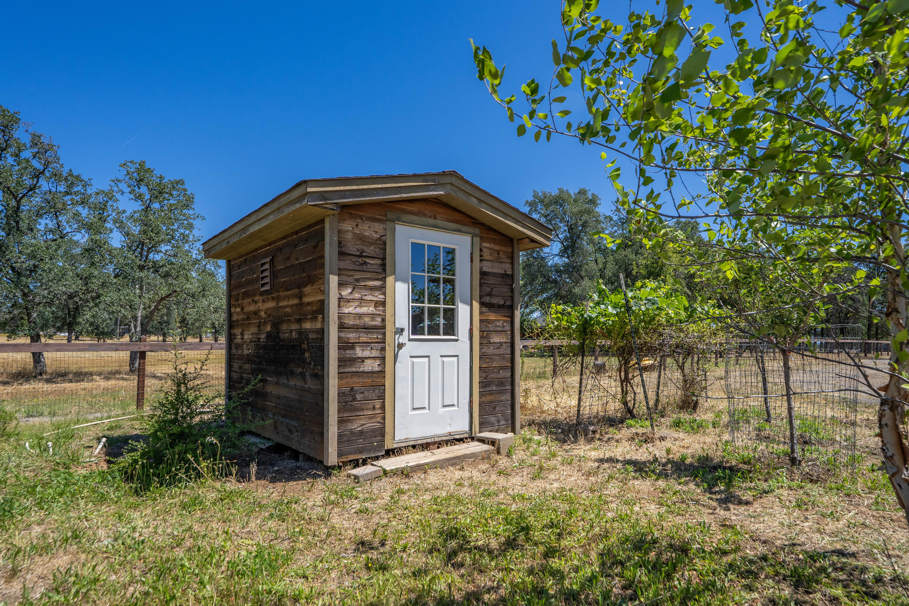 main property photo 97