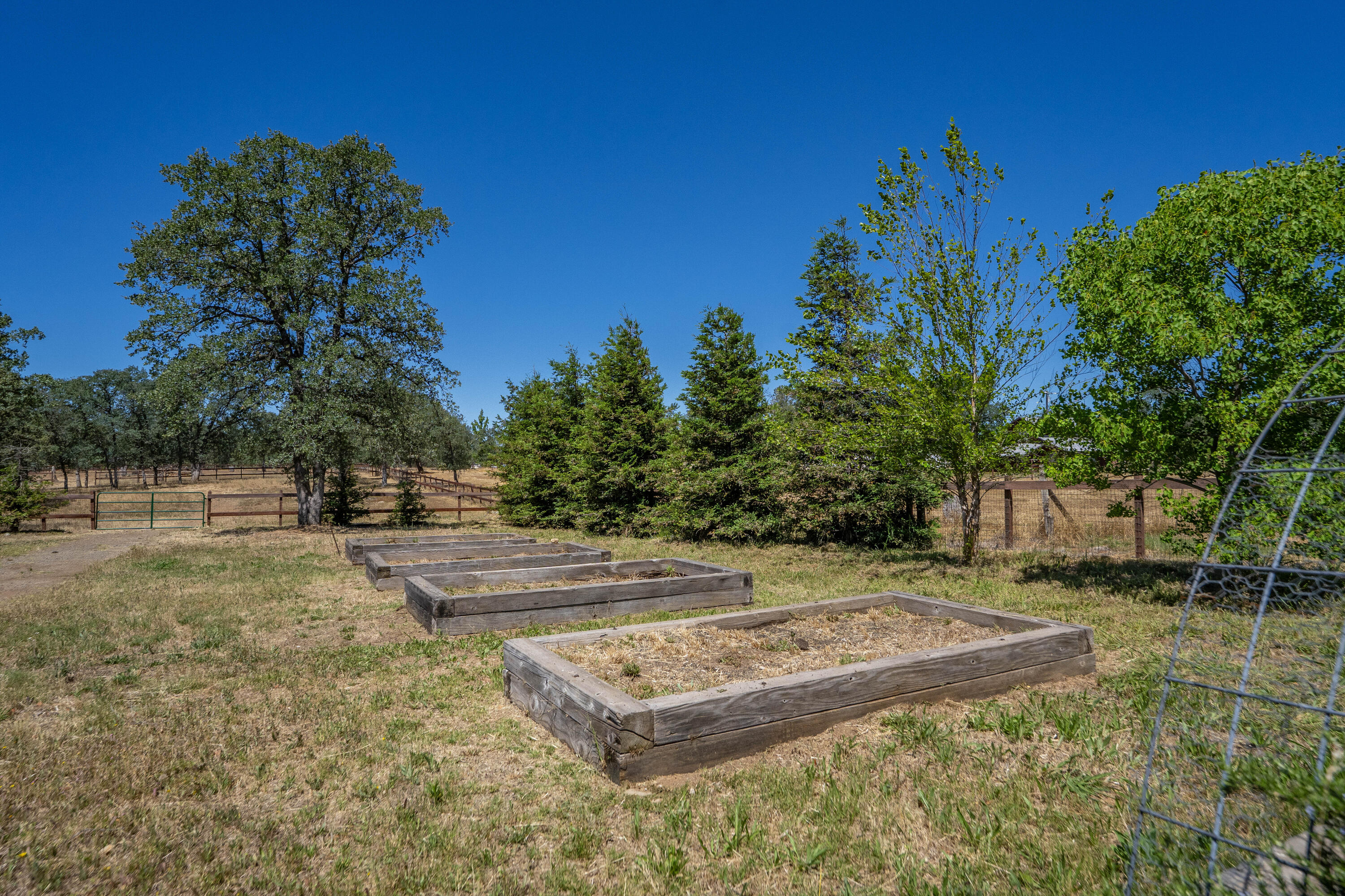 main property photo 98