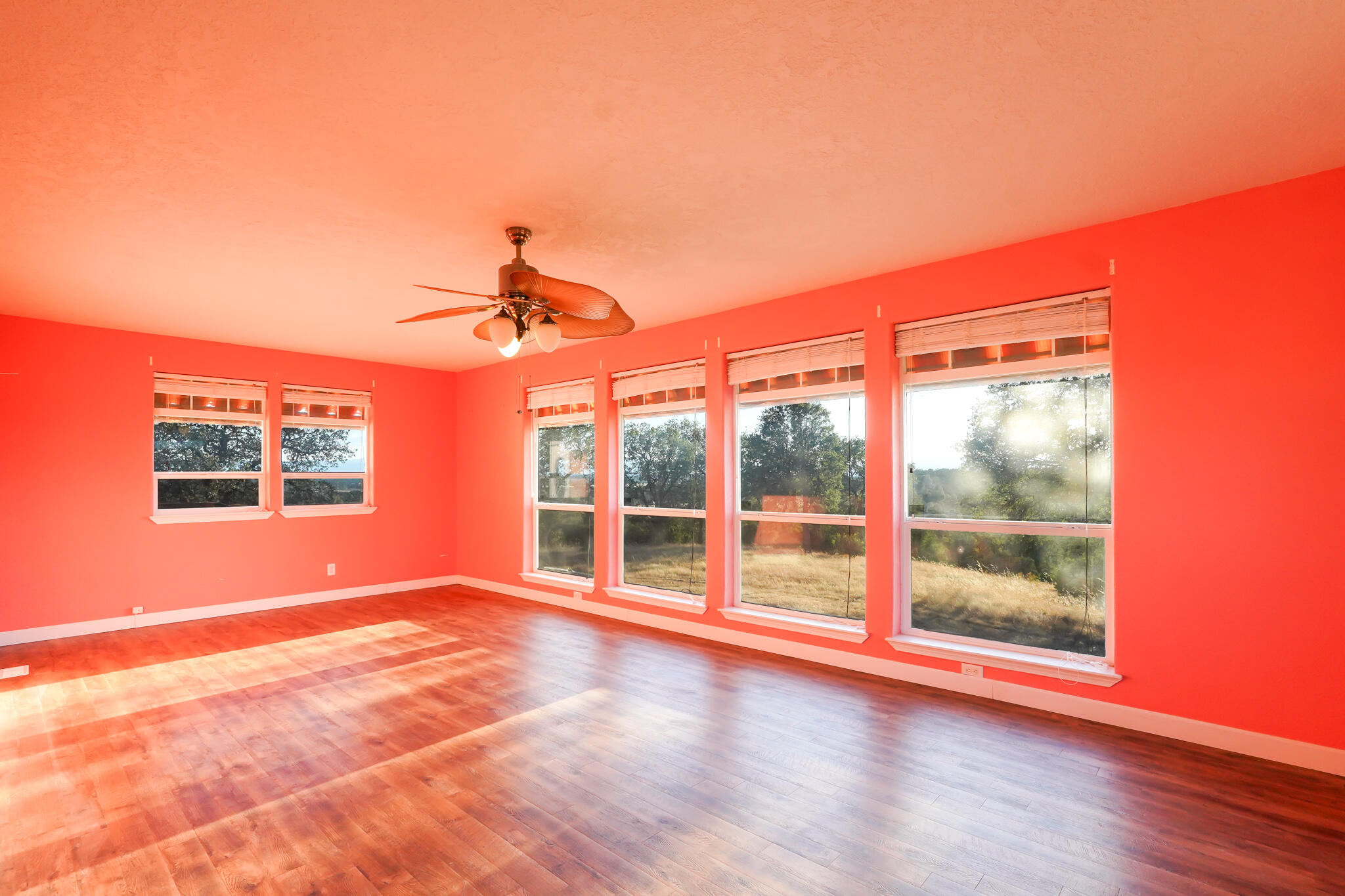 main property photo 57