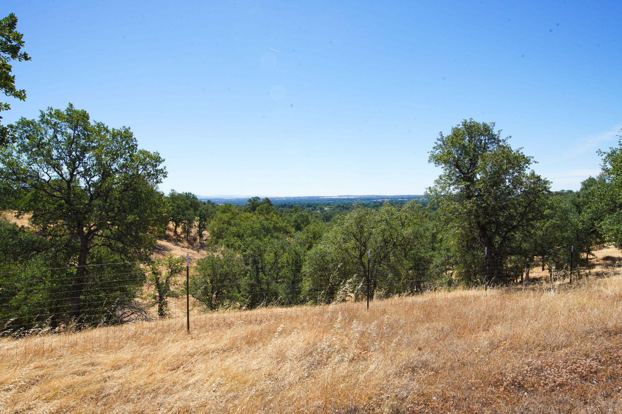 main property photo 59
